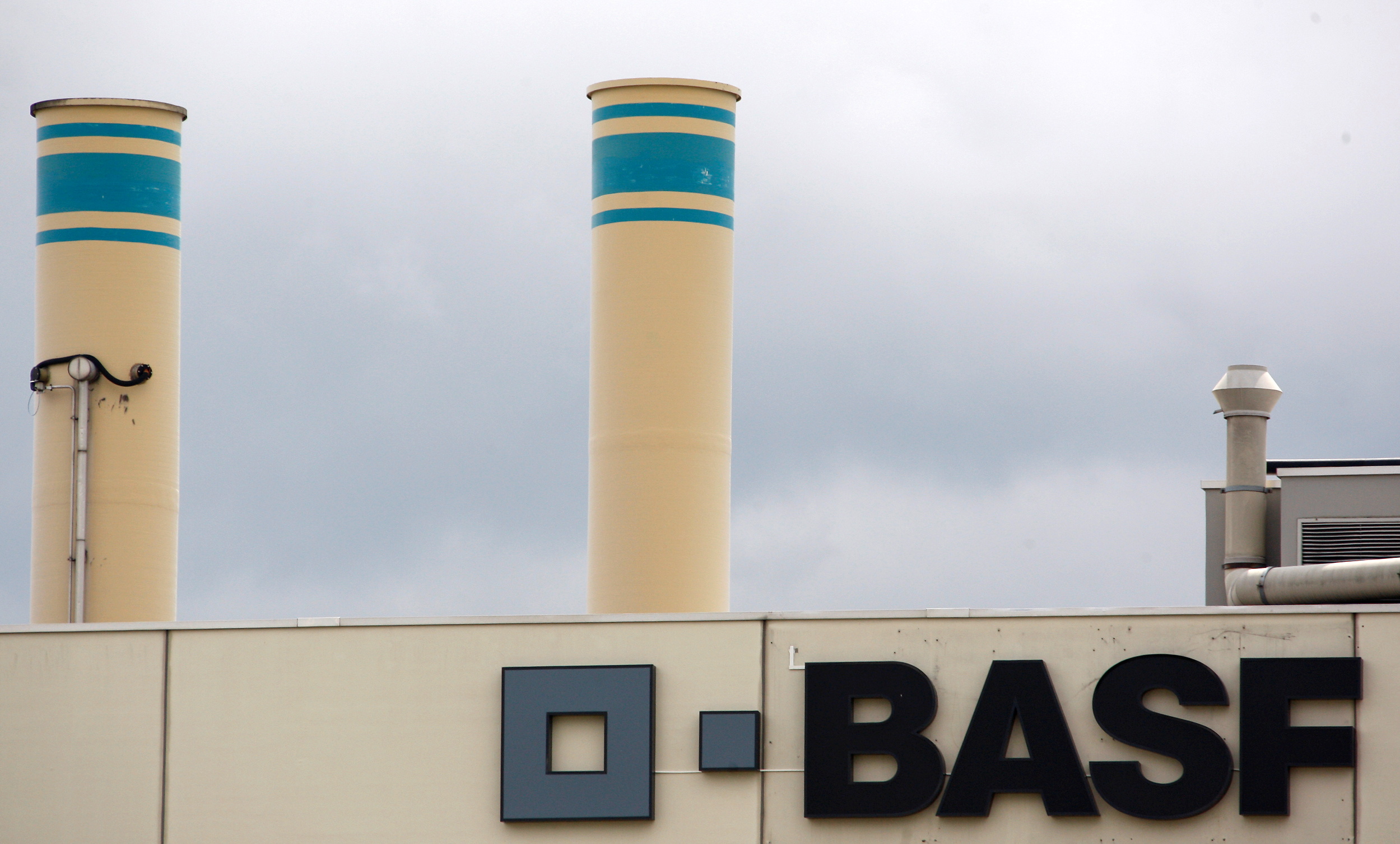 A logo is seen on the facade of the BASF plant and former Ciba production site in Schweizerhalle near Basel July 7, 2009.   REUTERS/Christian Hartmann/File Photo/File Photo