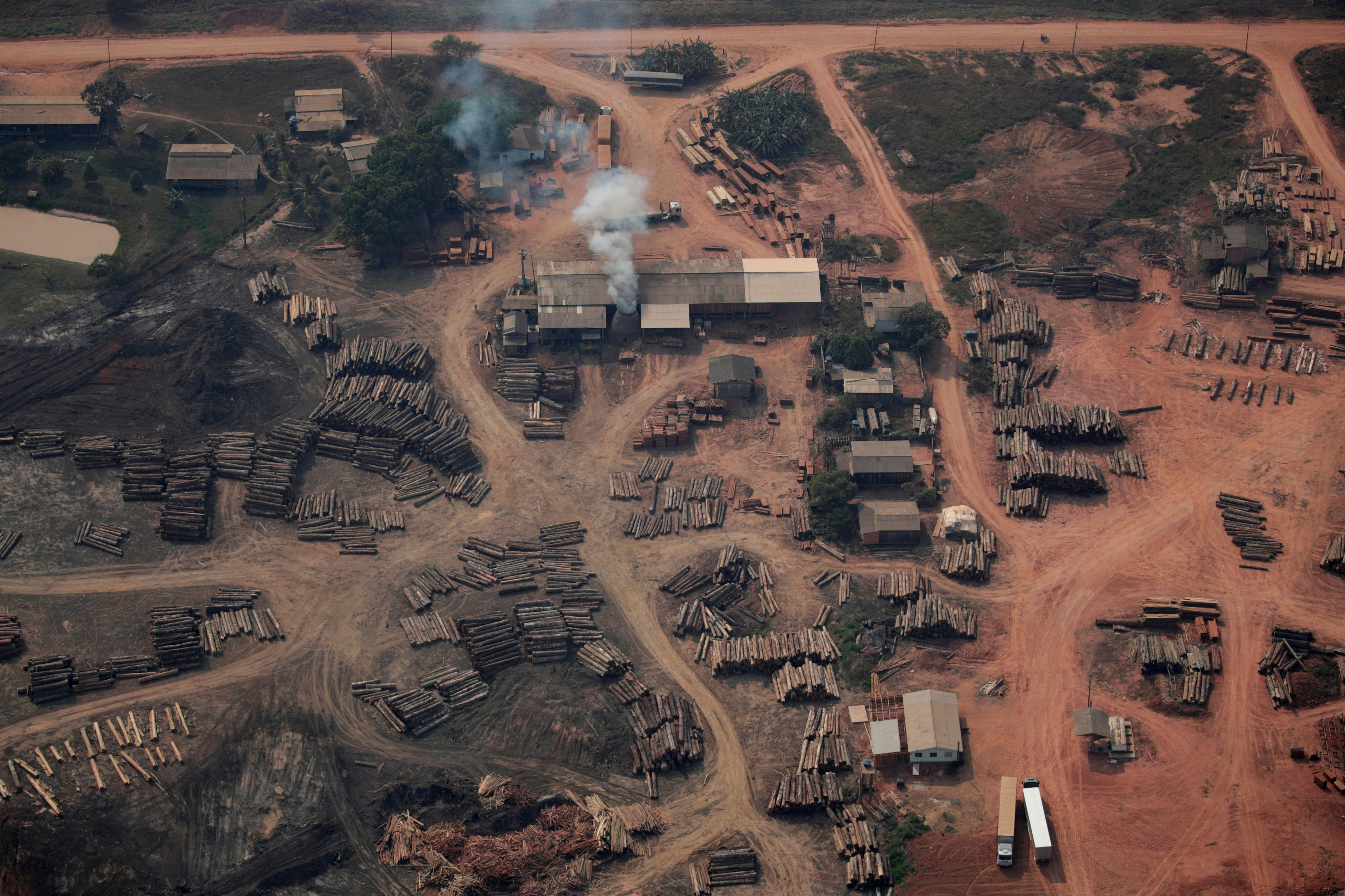 An aerial view of logs cut from Amazon rainforest near of the road BR-319 highway in city of Realidade
