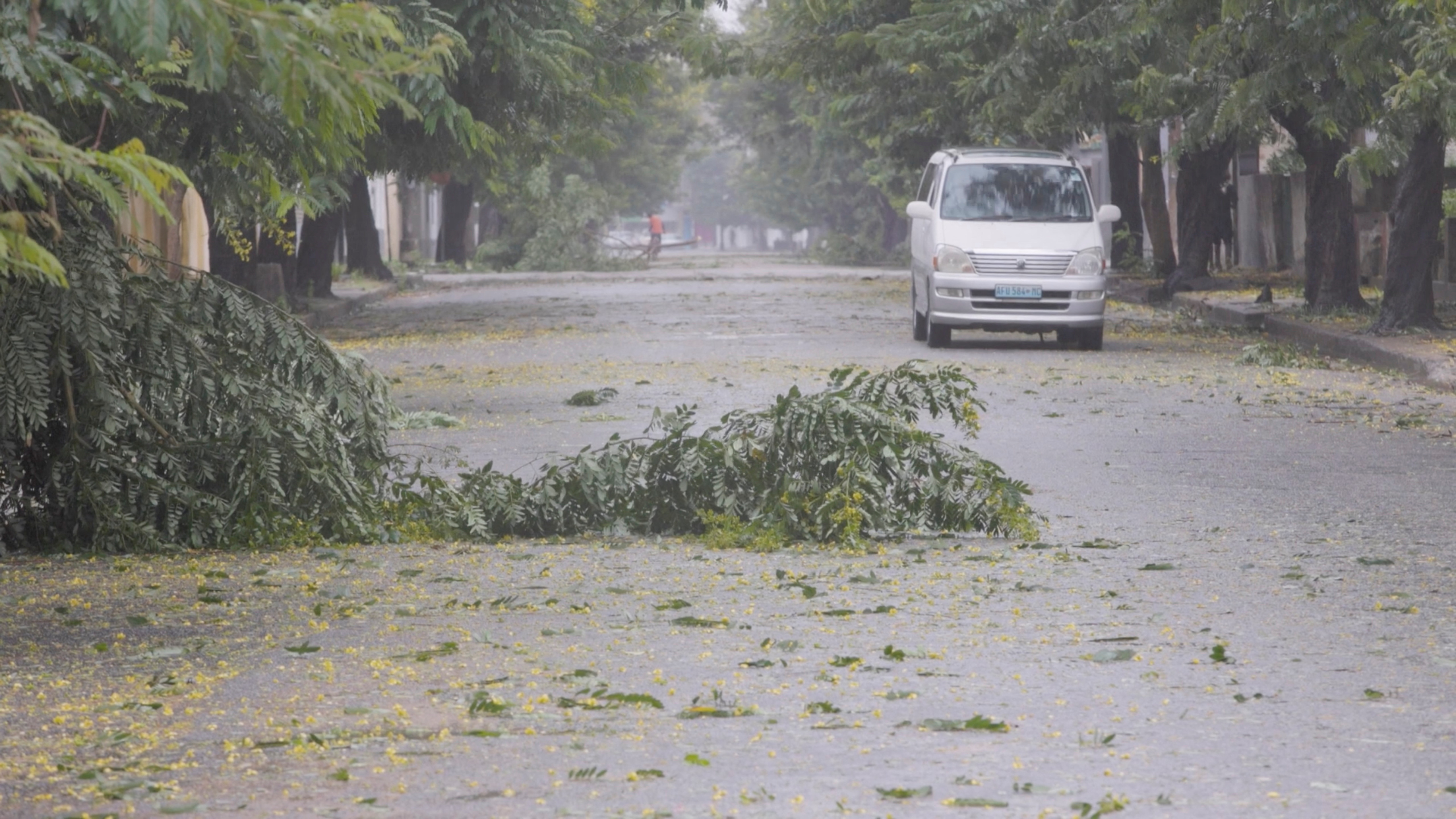 Fallen branches are seen on a street as Storm Freddy is due to hit Mozambique again