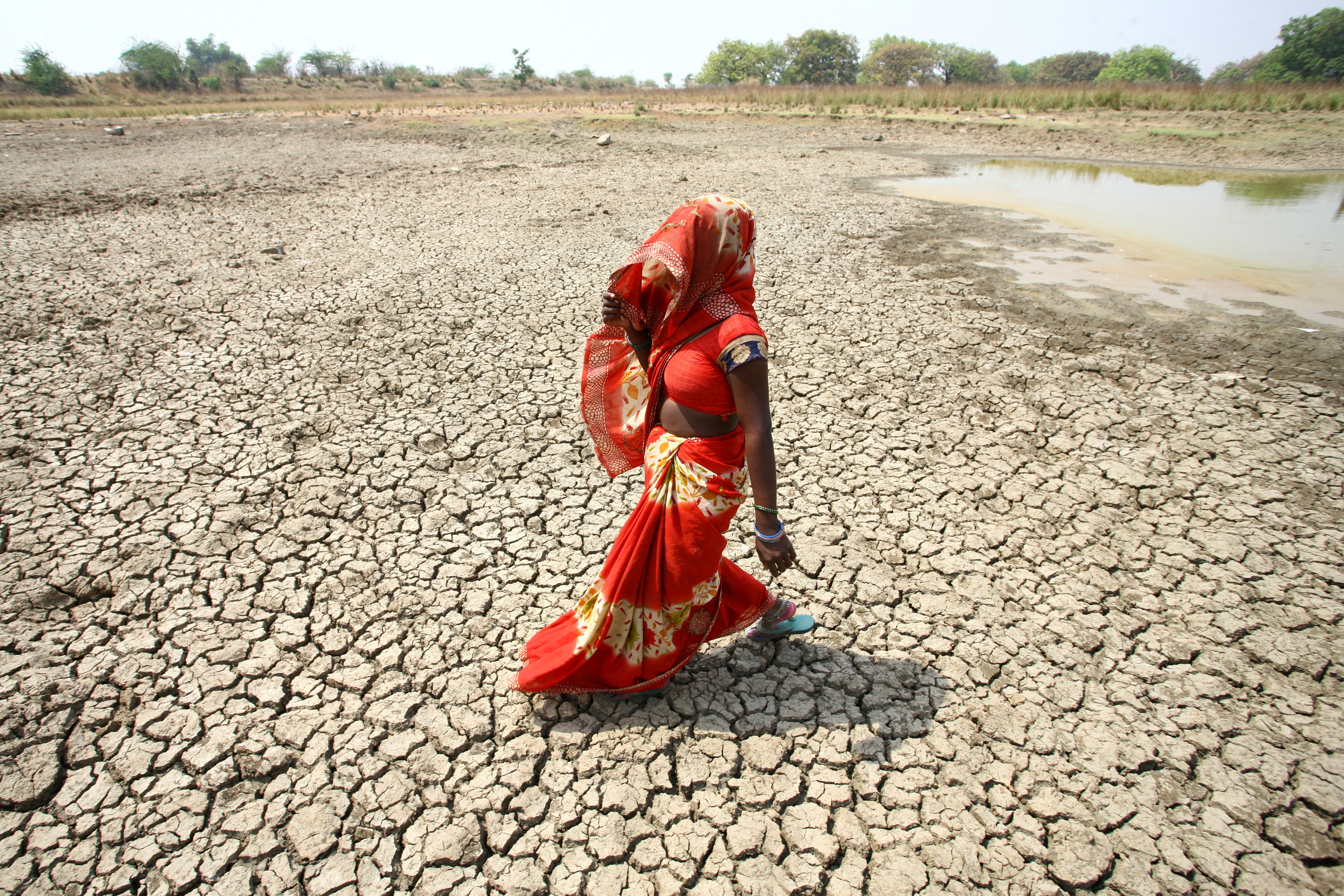 A woman walks on the bottom of a dried pond on a hot day in Mauharia village