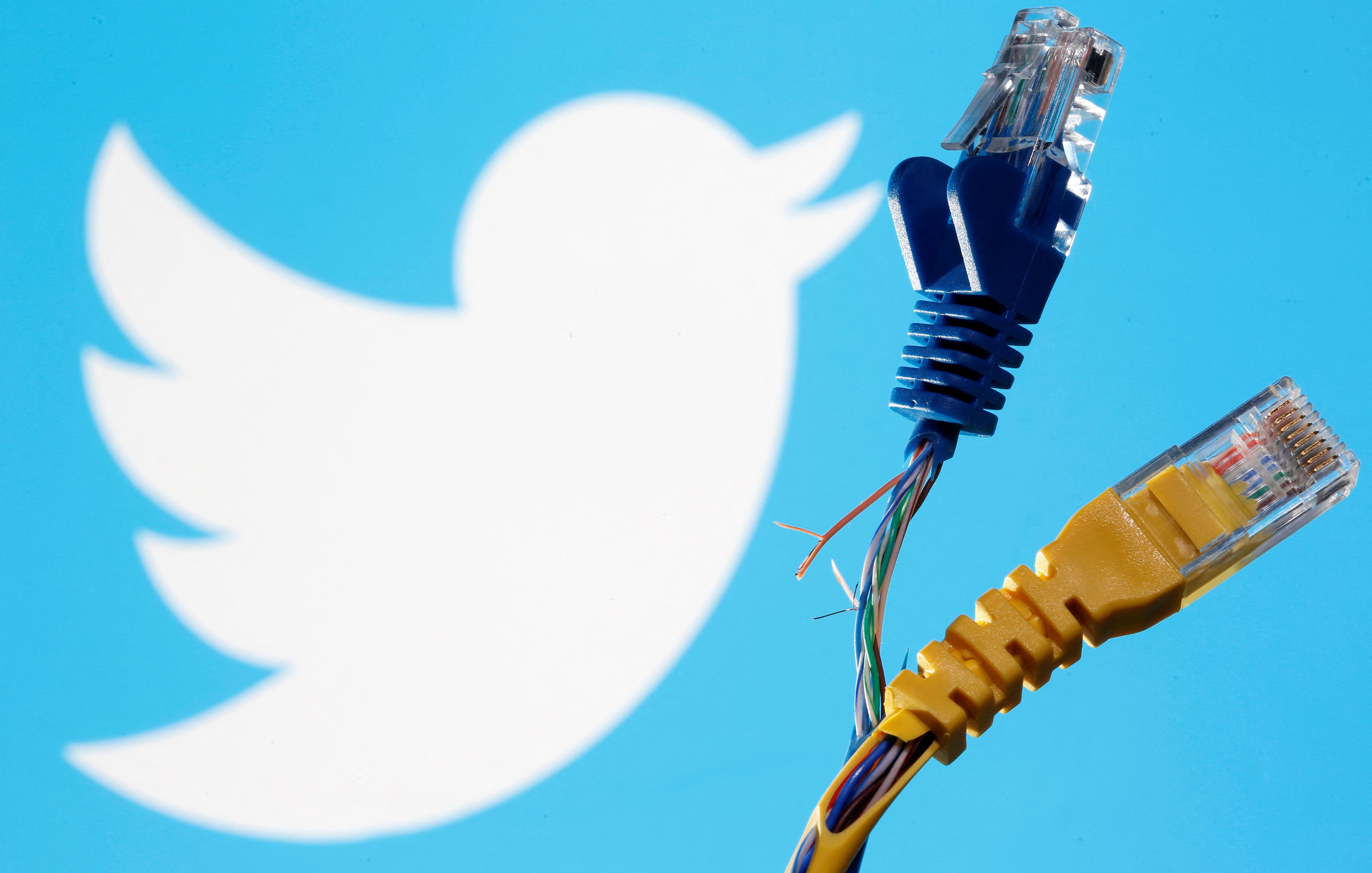 Broken Ethernet cables are seen in front of displayed Twitter logo in this illustration