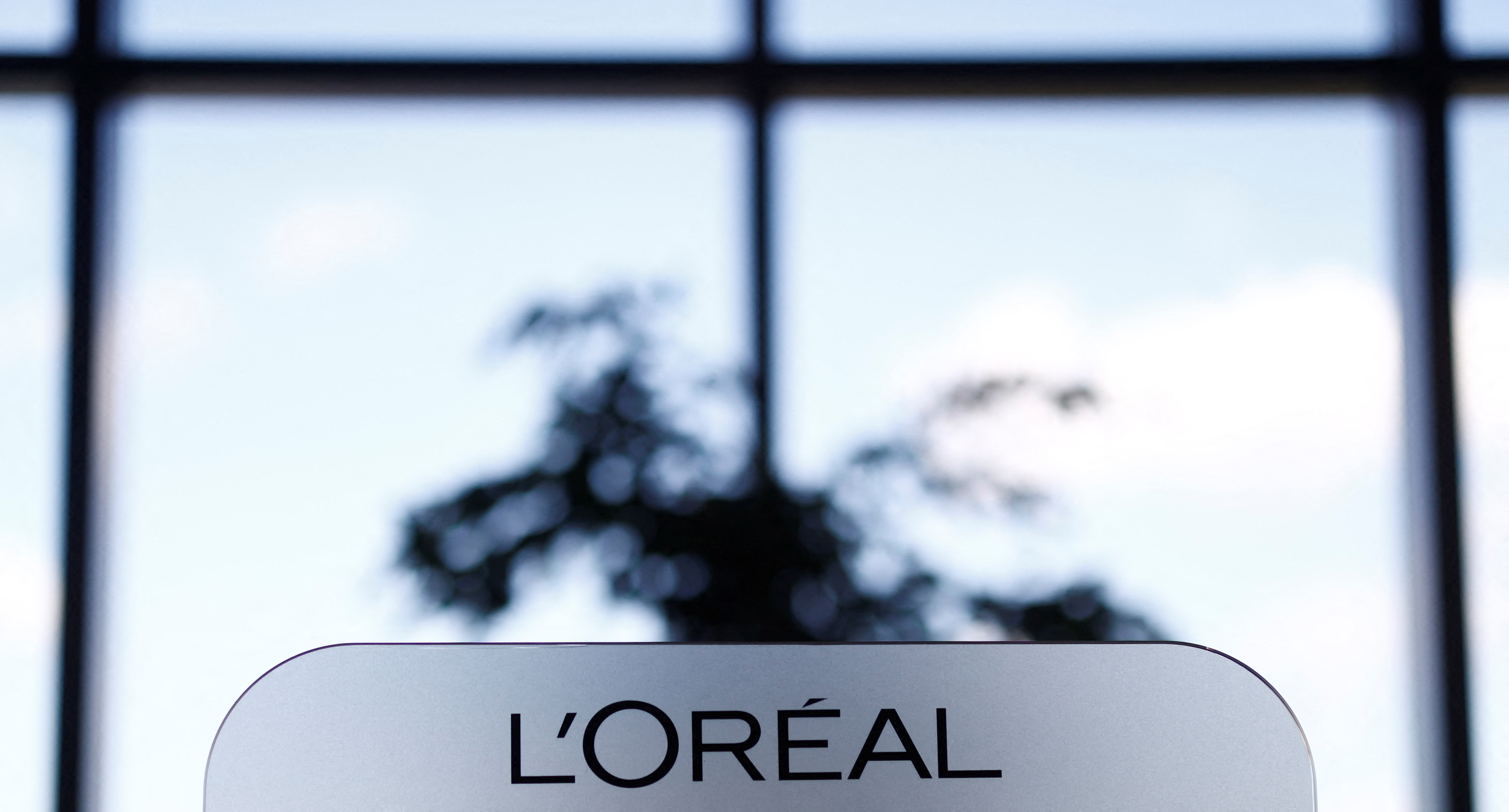 A L'Oreal logo is seen at the company's offices in Levallois-Perret