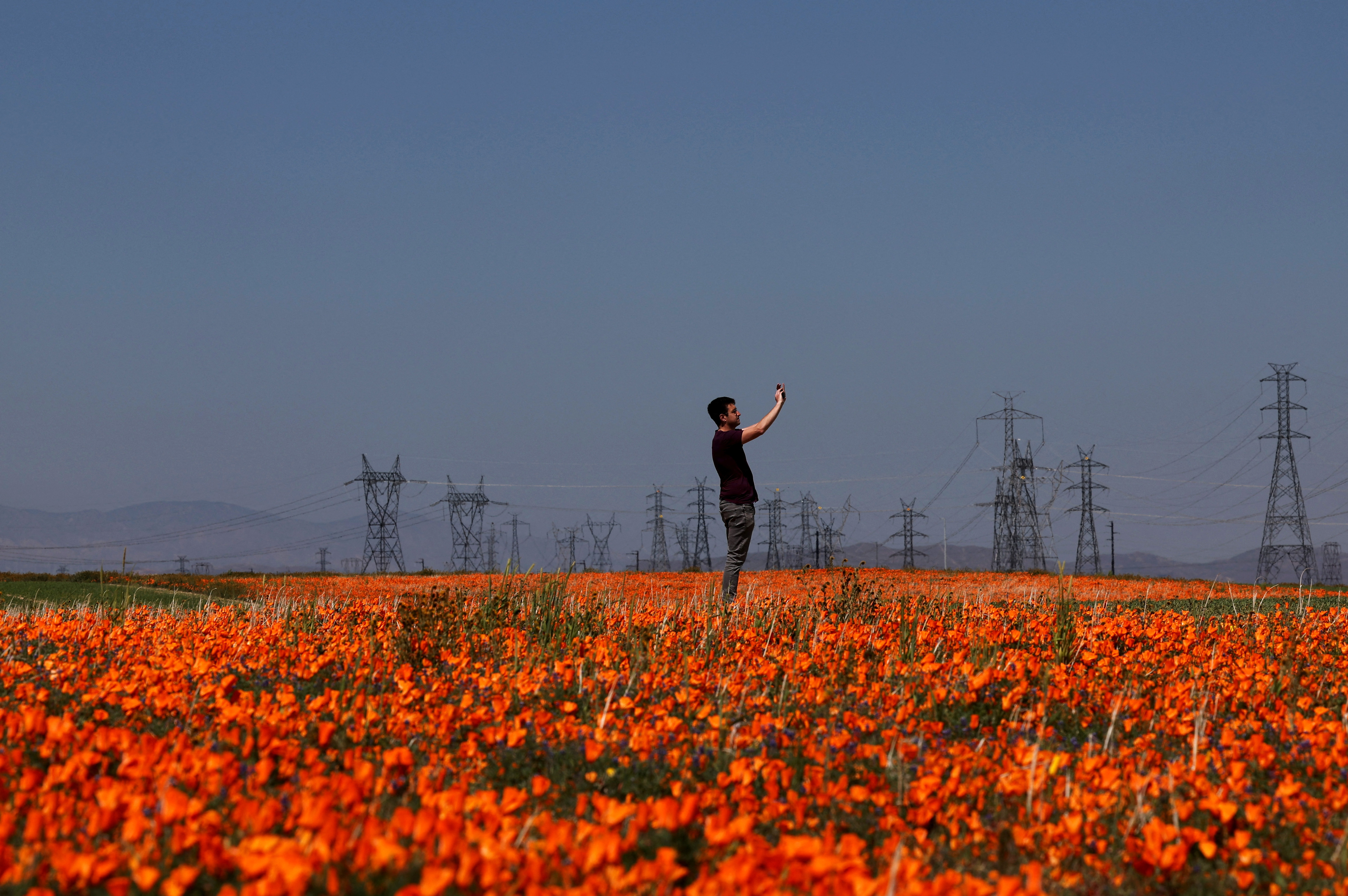 Springtime super bloom in California - April 14, 2023 | ロイター