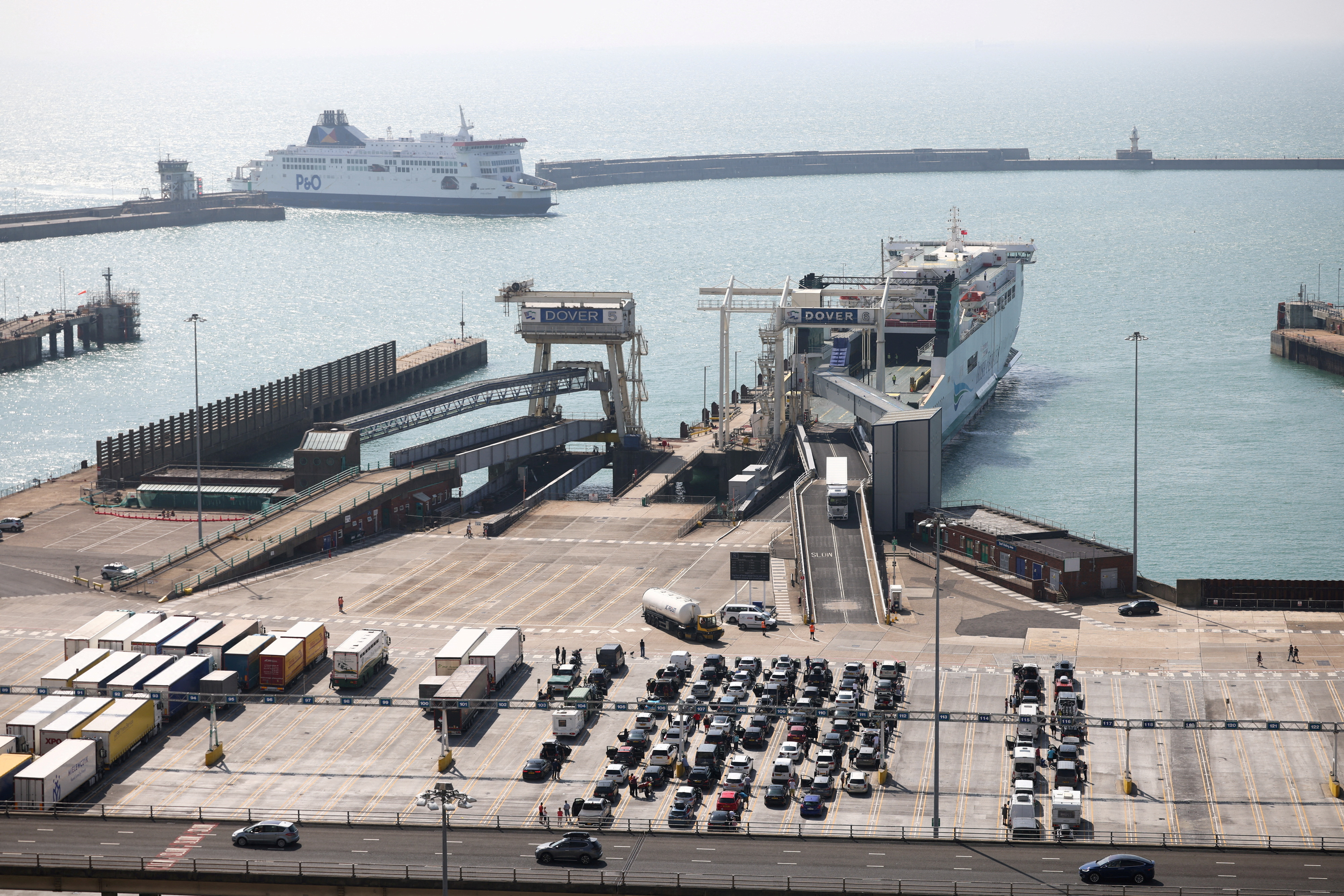 Dover port pushing UK government on biosecurity after Brexit