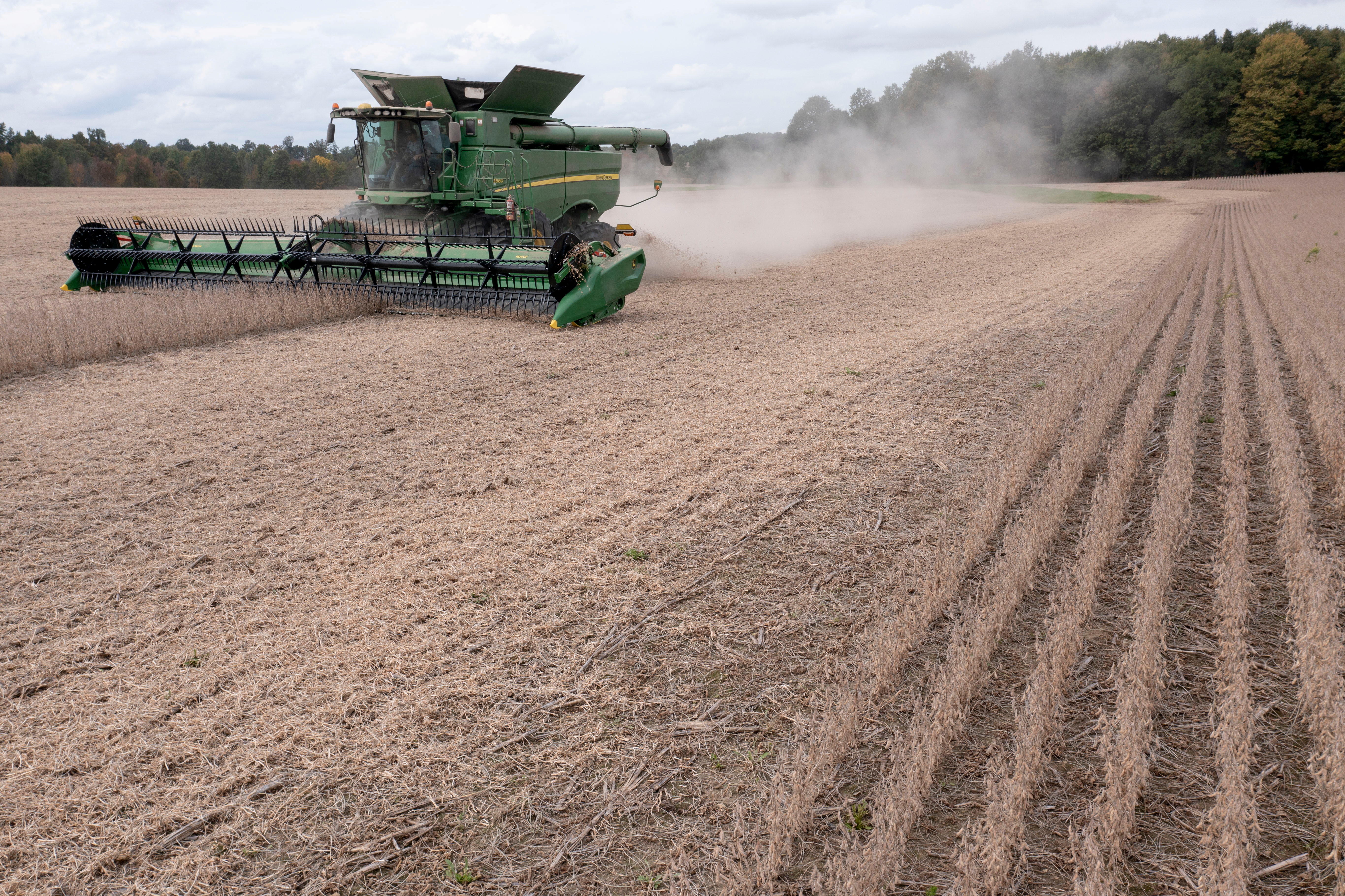 Soybean and Corn harvest season in central Ohio.
