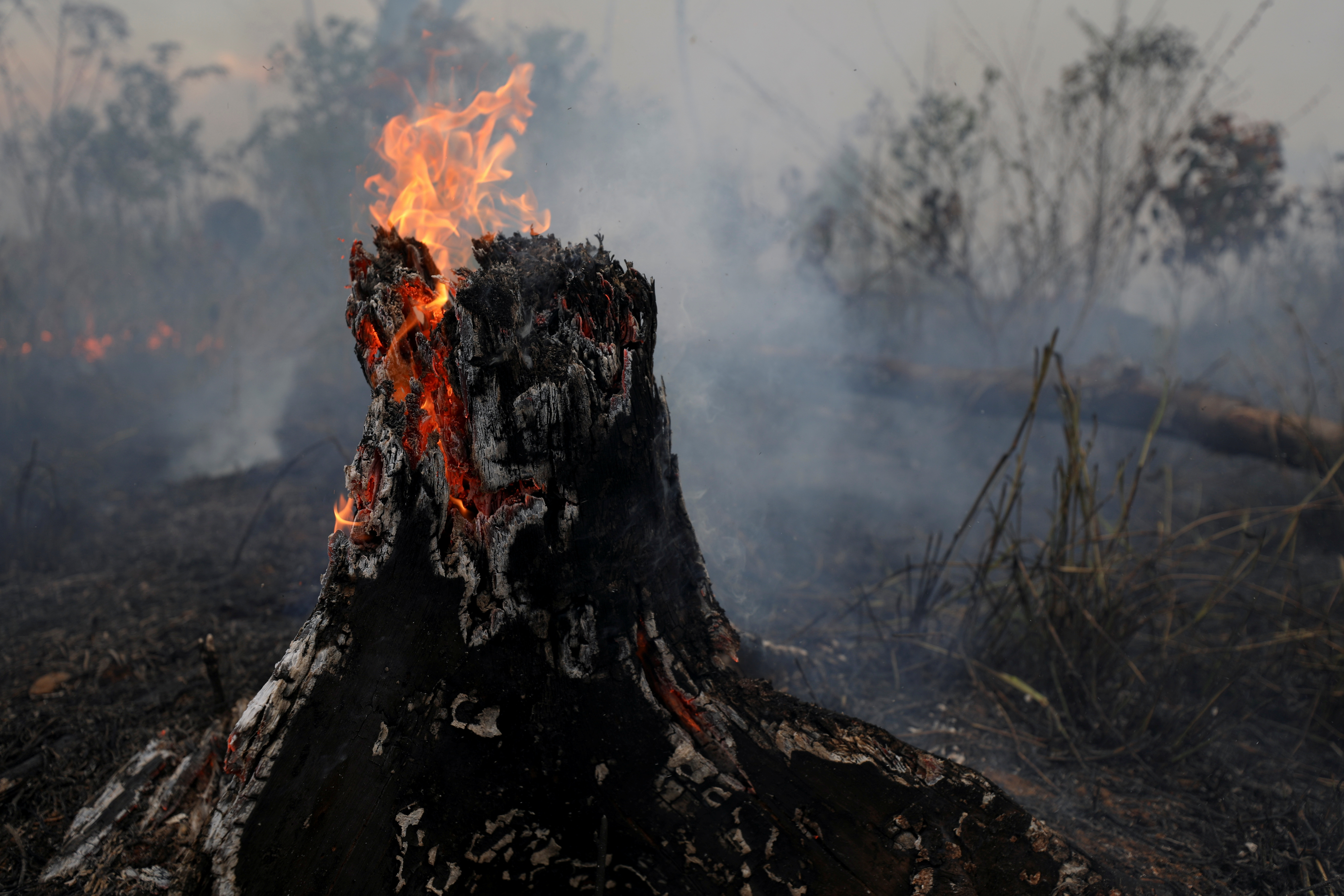 Fires surge in Brazilian Amazon