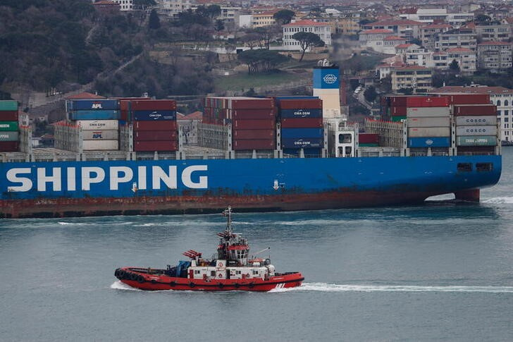 Container ship Cosco Shipping Seine sails in Istanbul's Bosphorus