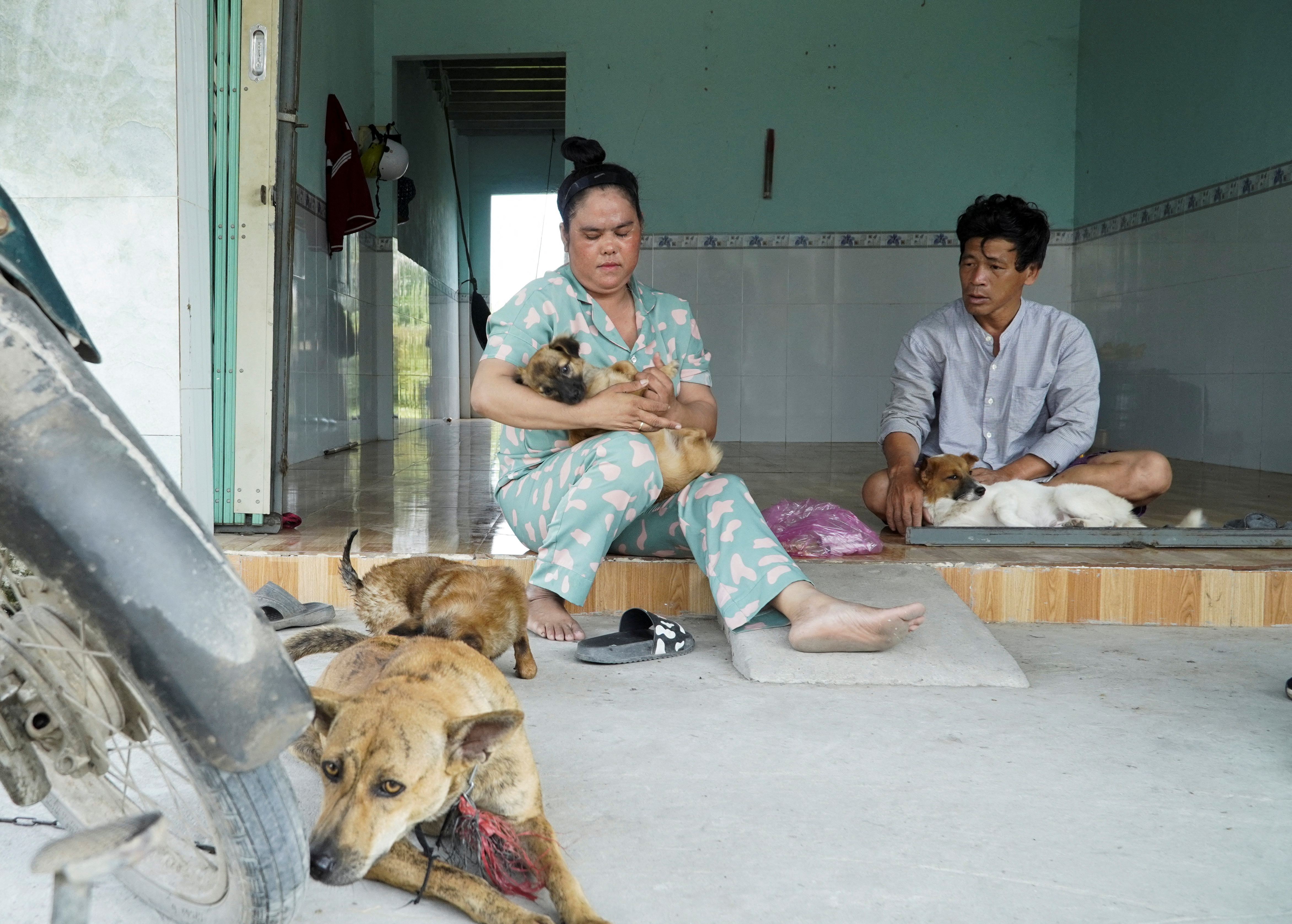 Vietnam couple adopt new dogs after 15 dogs were culled while they were in hospital
