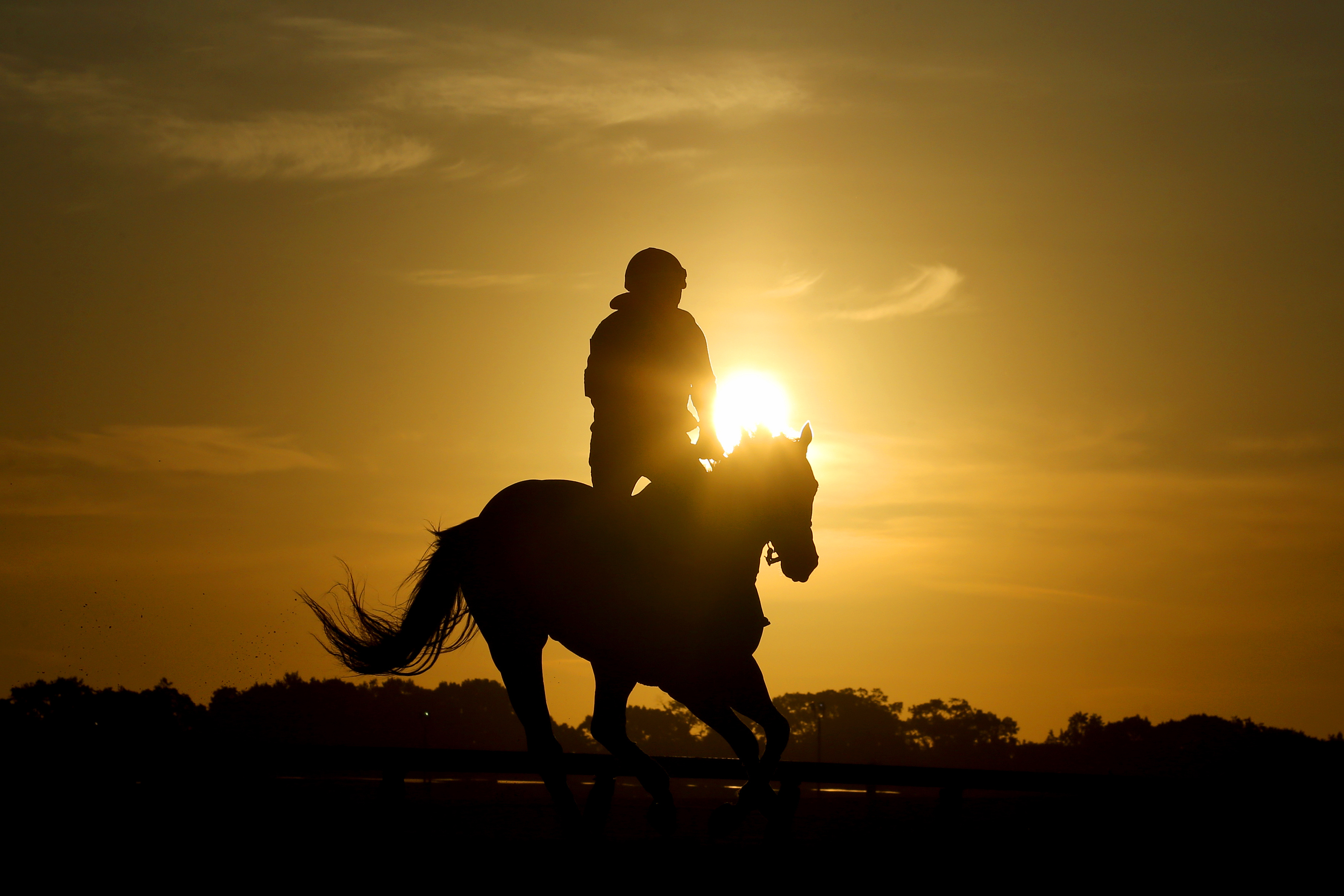 Horse racing in U.S. can't survive without reforms, HISA CEO says | Reuters