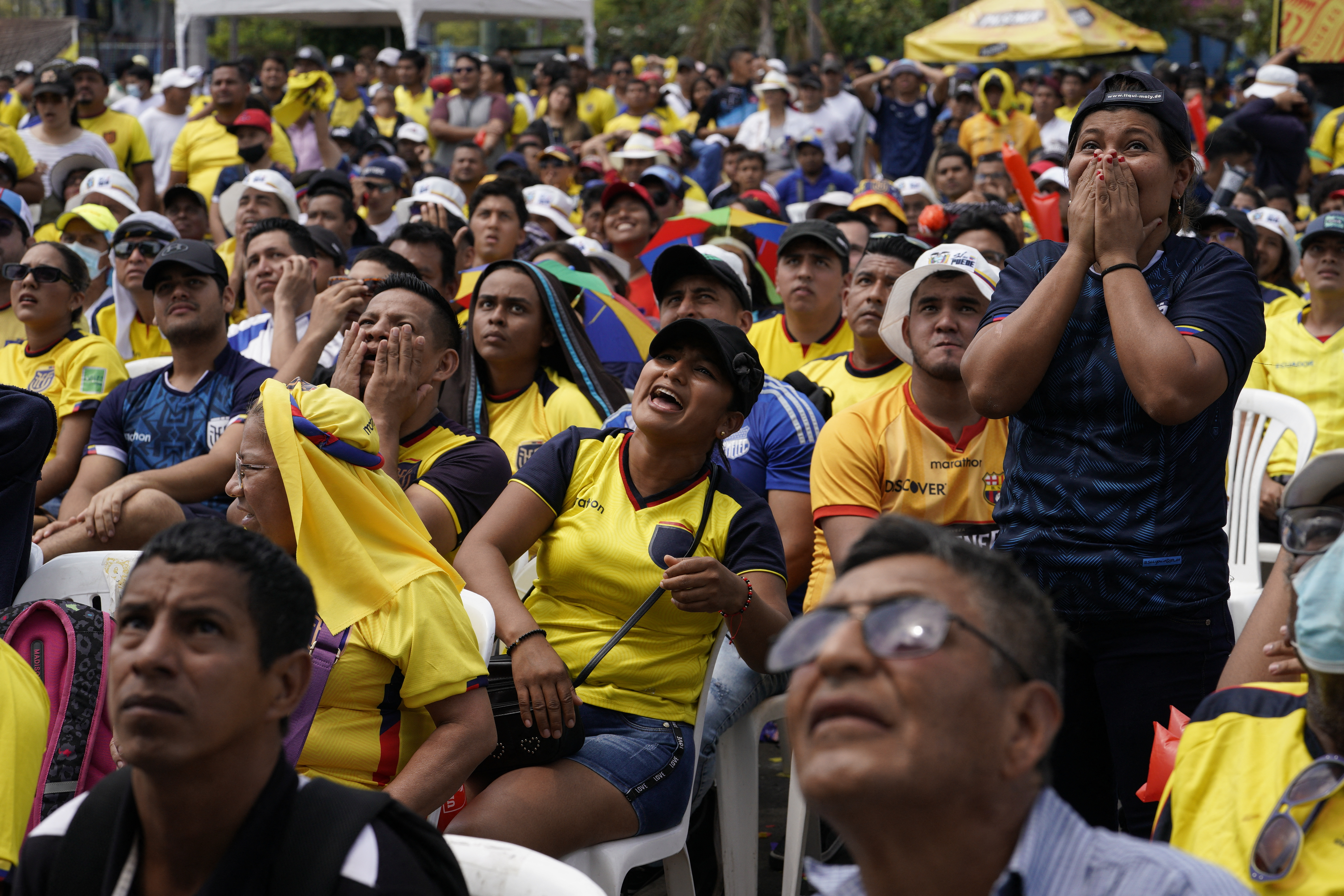 FIFA World Cup Qatar 2022 - Fans watch in Guayaquil Ecuador v Senegal