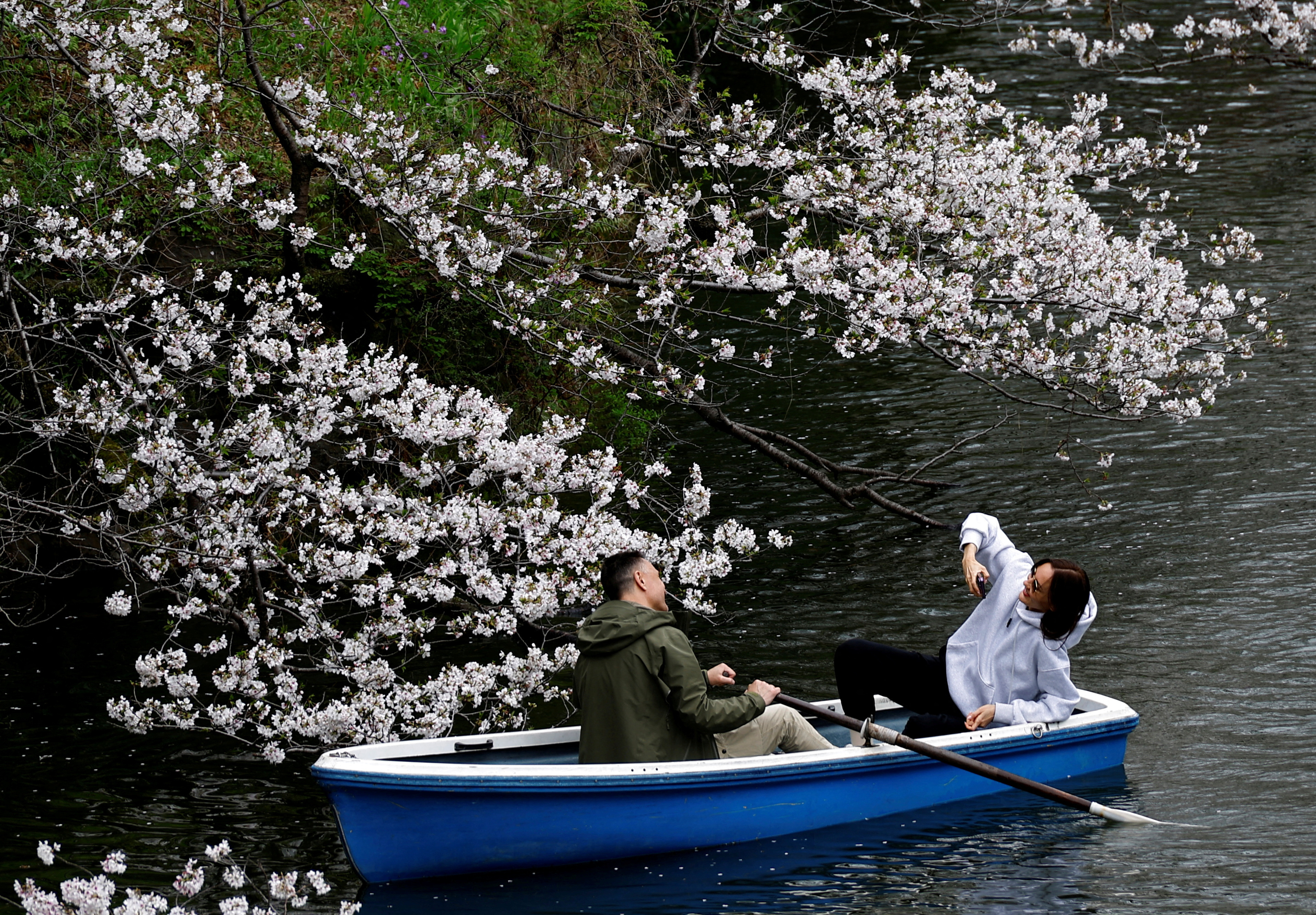 Tourists ride a boat next to cherry blossoms at Chidorigafuchi Park in Tokyo