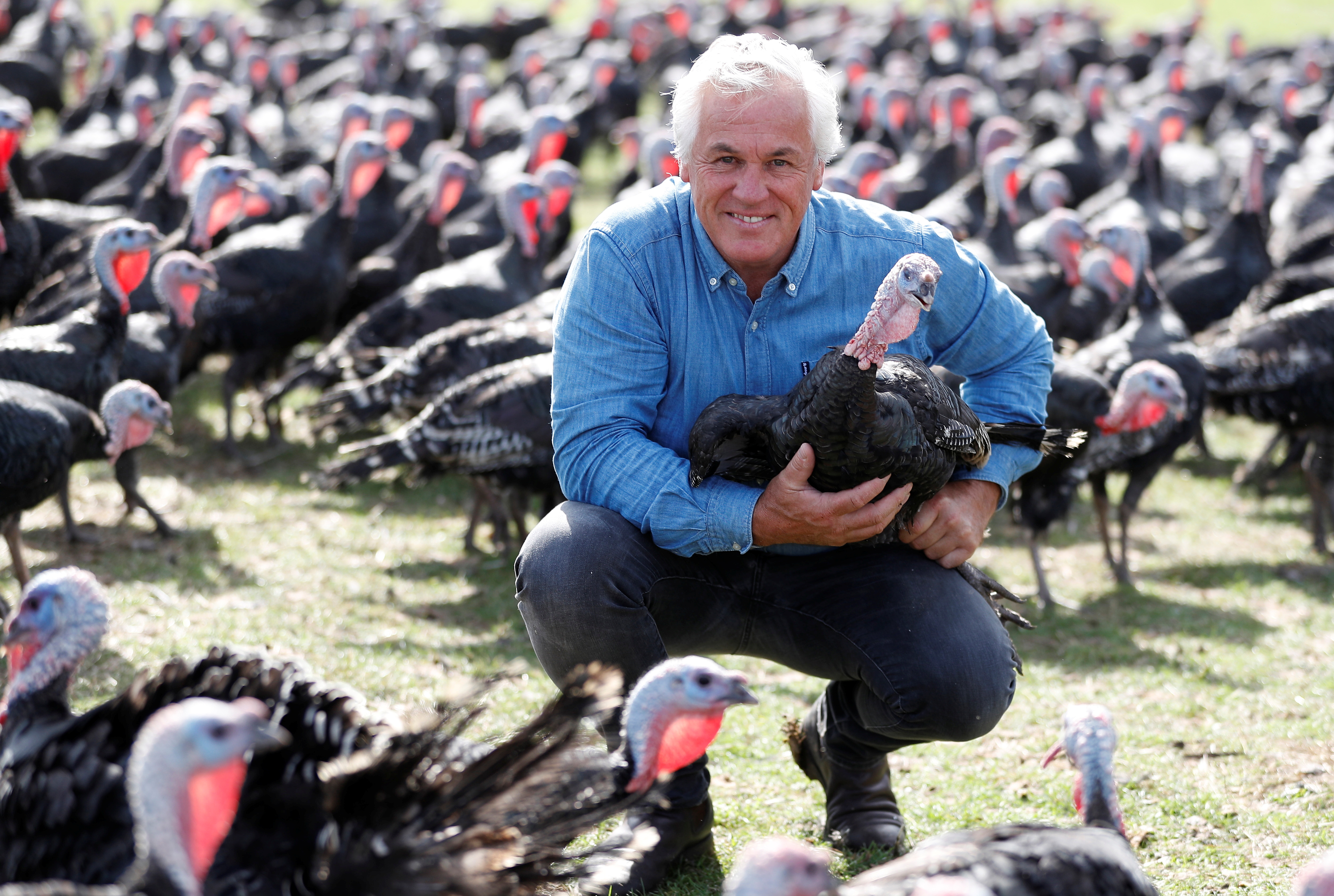 Turkey farmer Paul Kelly poses for a photograph at his farm in Chelmsford