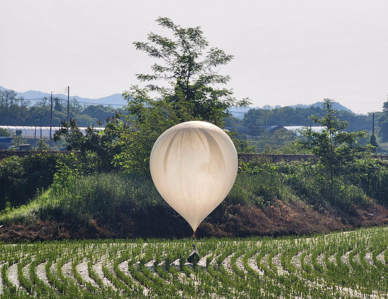 ごみ・汚物風船が韓国に飛来、「北朝鮮が散布」と非難