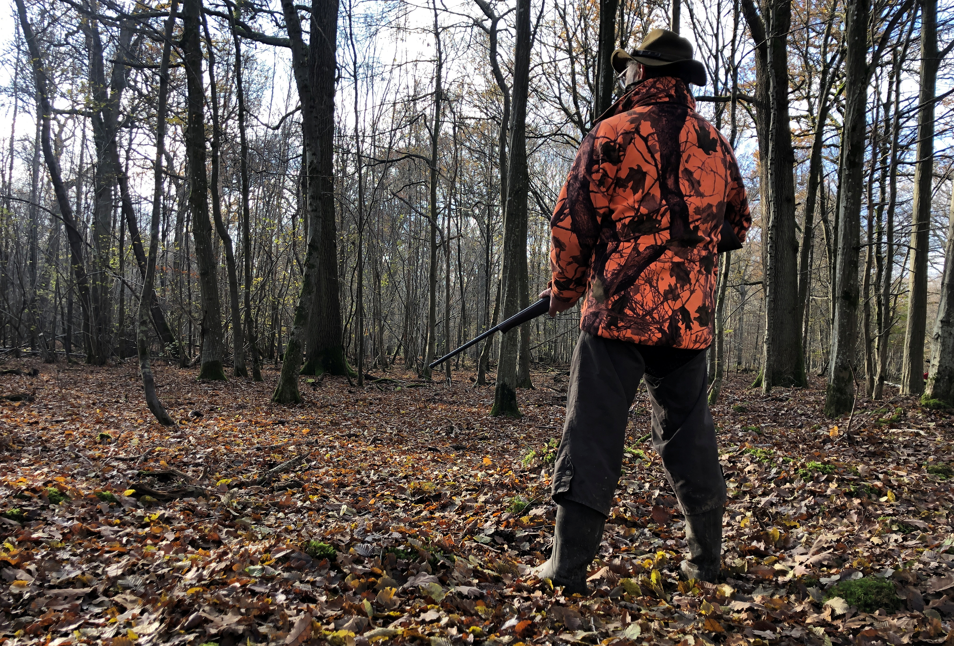 A hunter holds his shotgun during a hunting party at Ferrieres forest in Pontcarre, France, November 22, 2021. Picture taken November 22, 2021. REUTERS/Manuel Ausloos