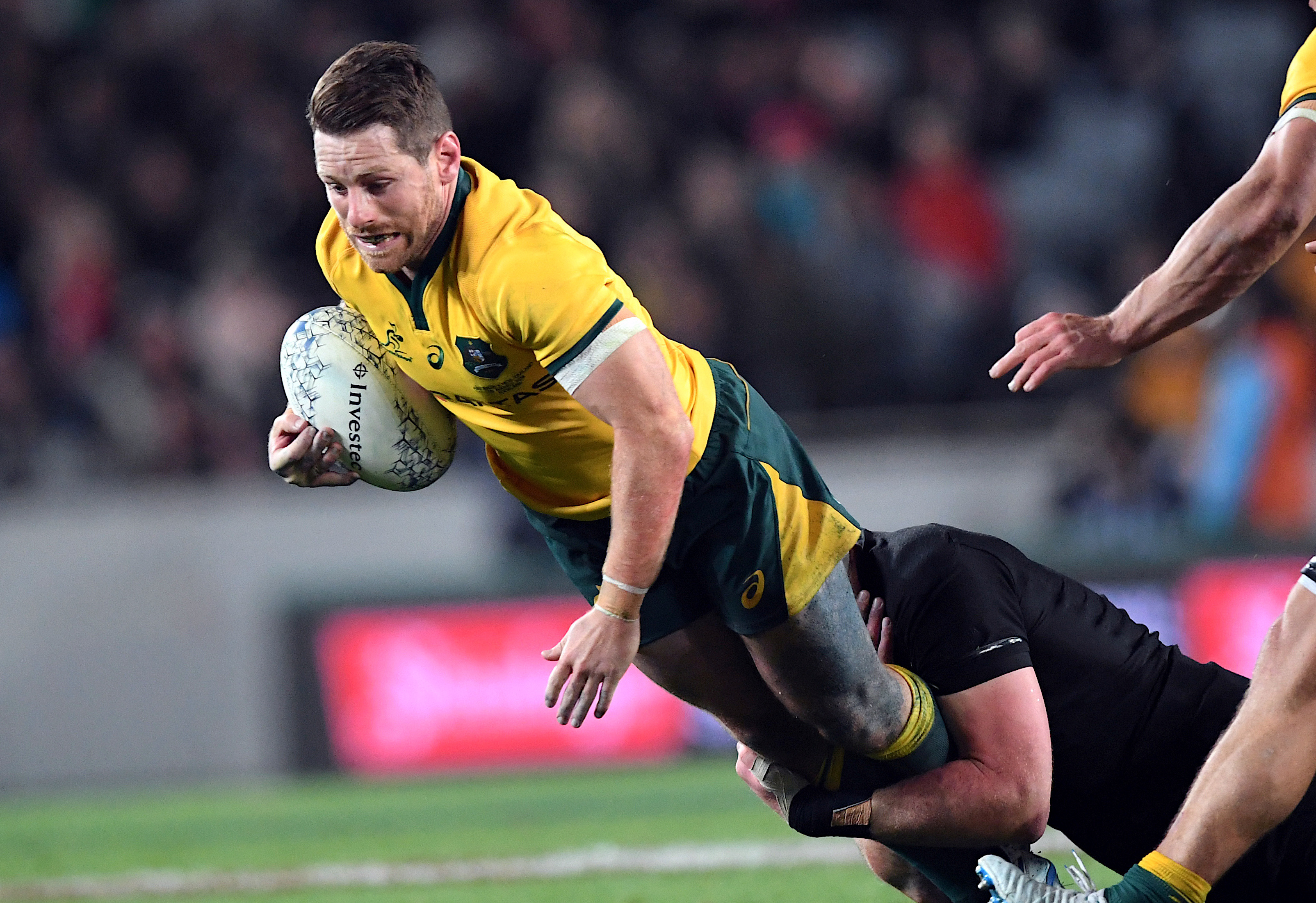 Rugby Union - 2018 Bledisloe Cup Rugby Championship - Australia v New Zealand