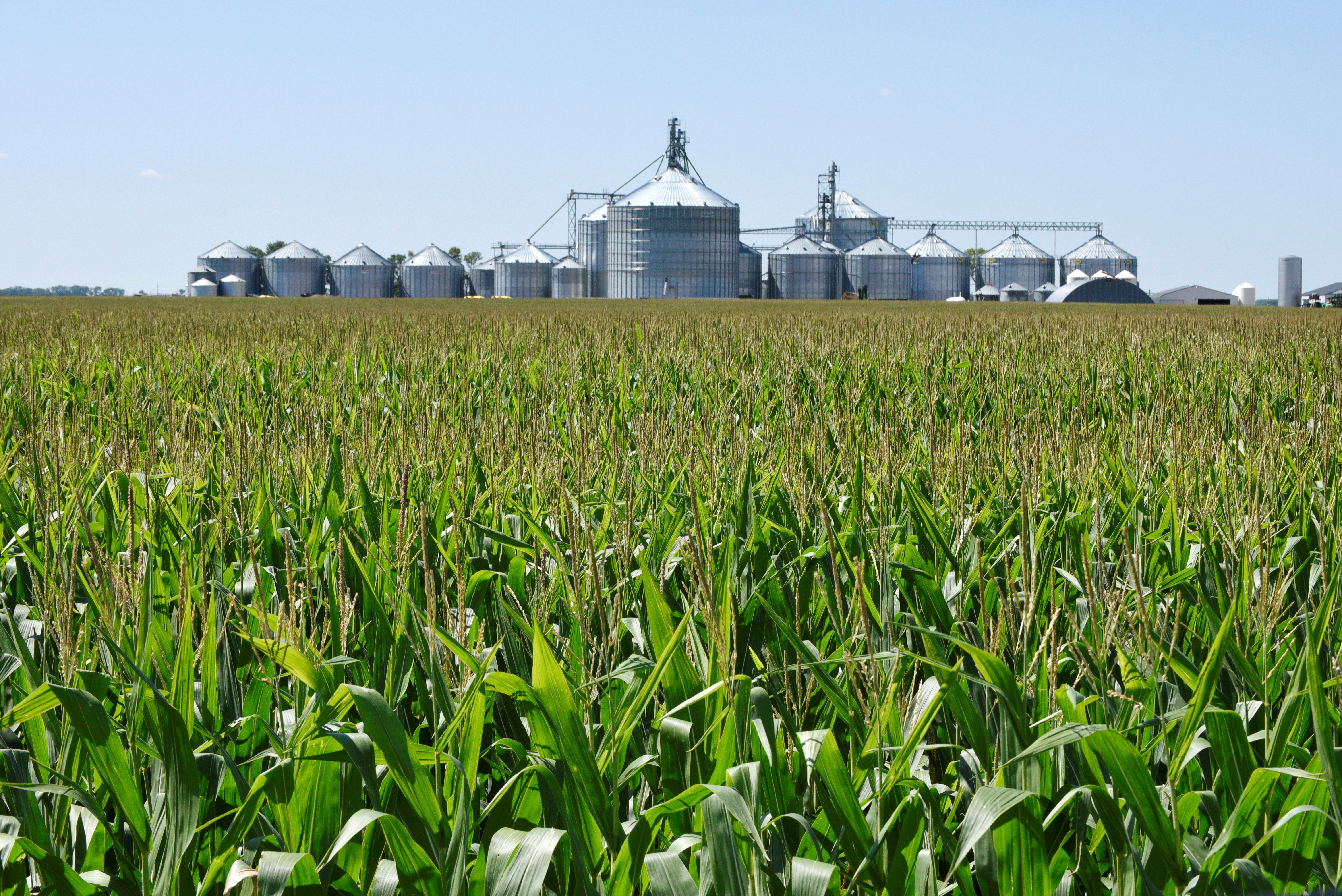 A corn field and storage bins are seen on the Doug Zink farm near Carrington, North Dakota