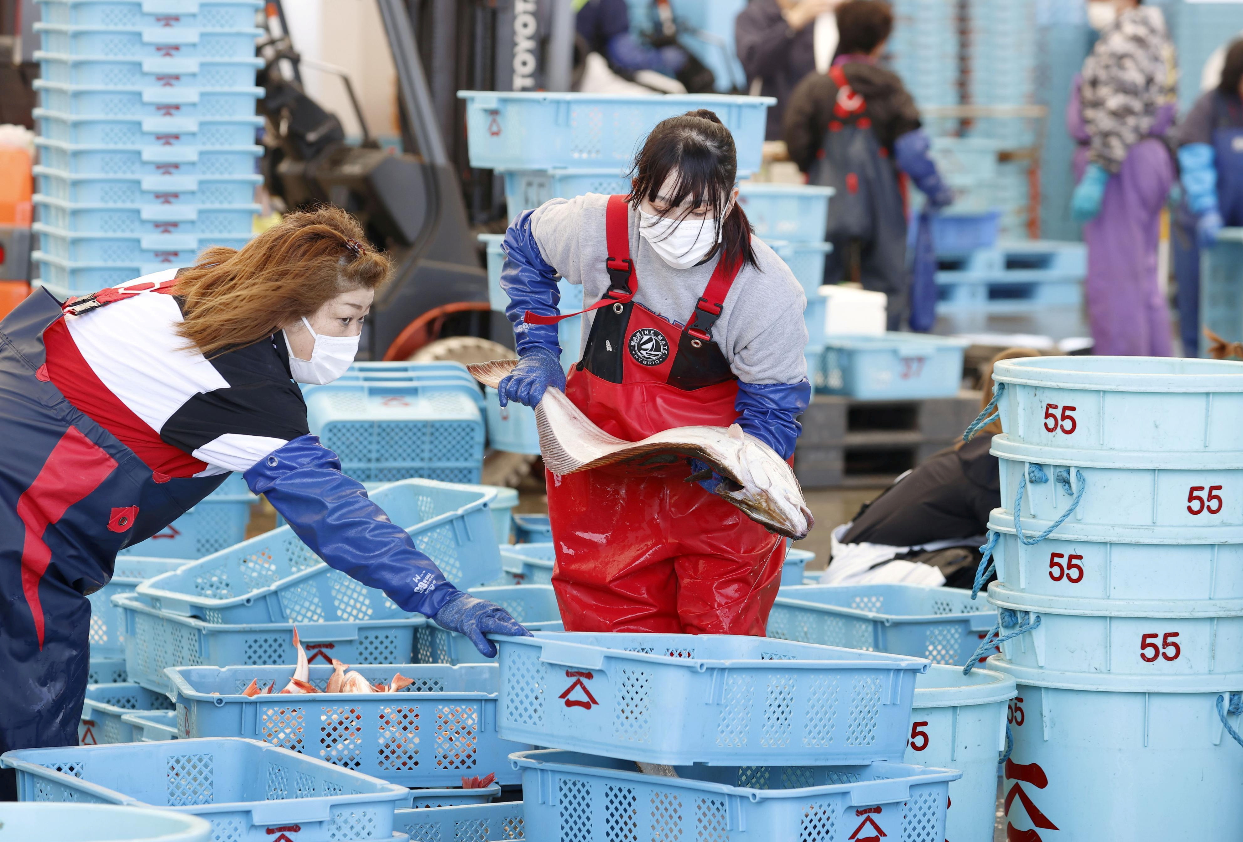 Workers sort fishes after a fishing operation at Matsukawaura fishing port in Soma, Fukushima prefecture