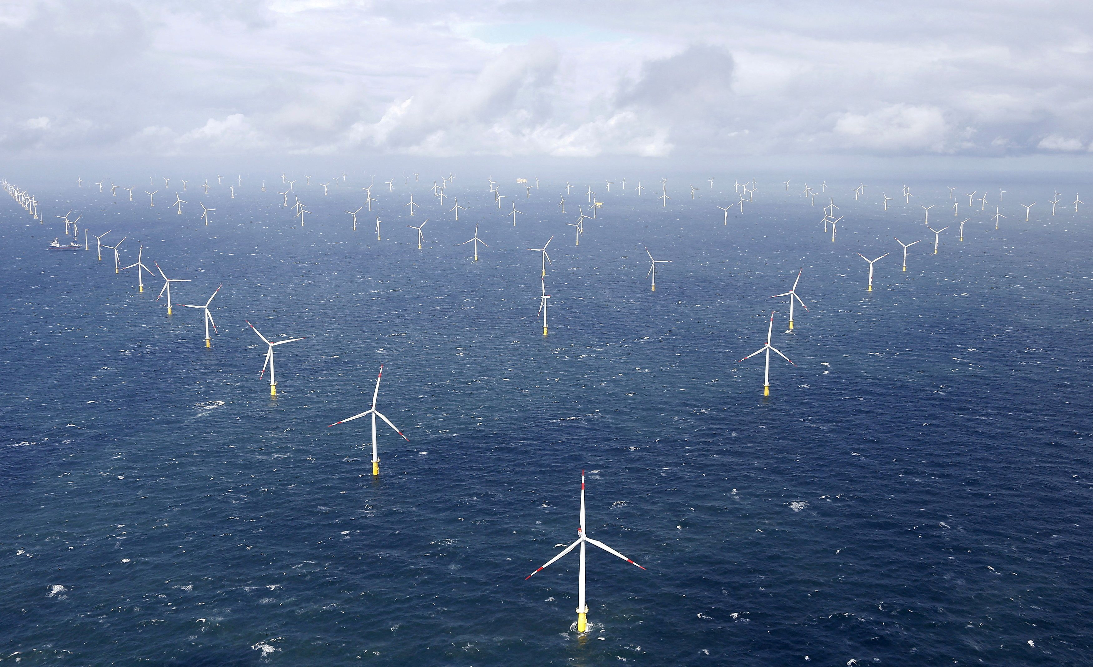 Power-generating windmill turbines are pictured at the 'Amrumbank West' offshore windpark in the northern sea near the island of Amrum
