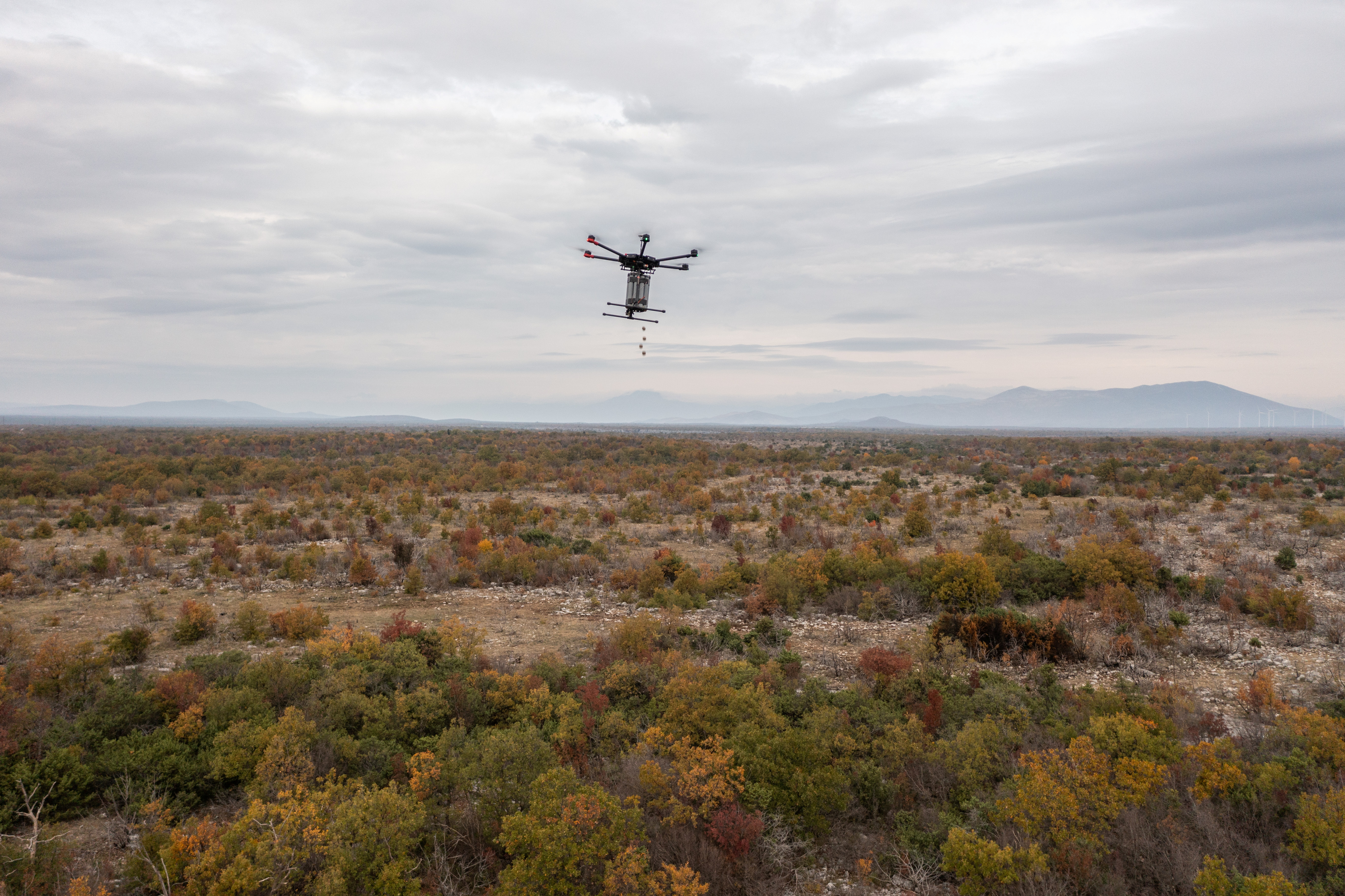 A drone is seen ejecting tree seed balls during afforestation in Oklaj
