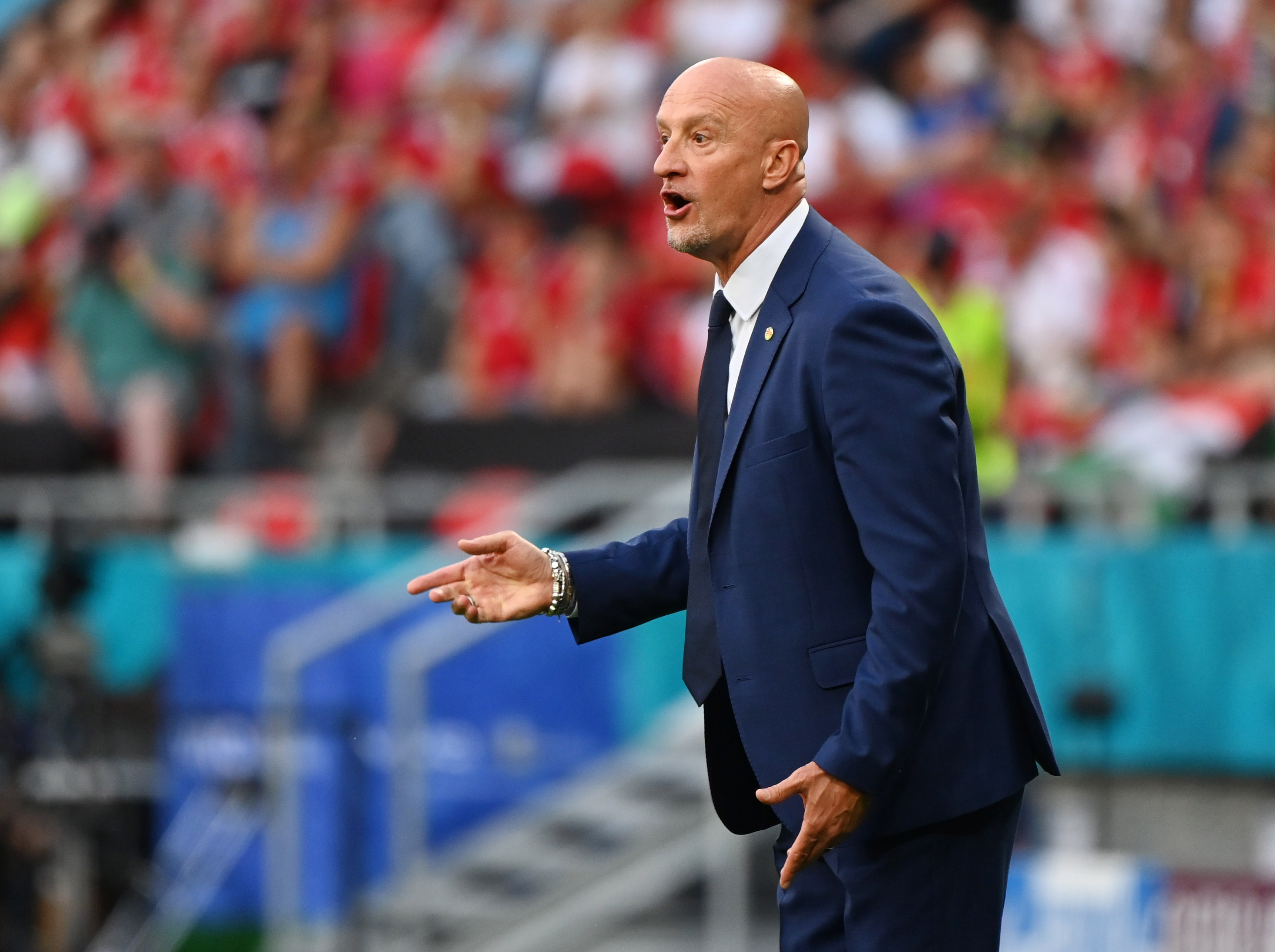 Hungary must leave everything on the pitch against France - coach | Reuters