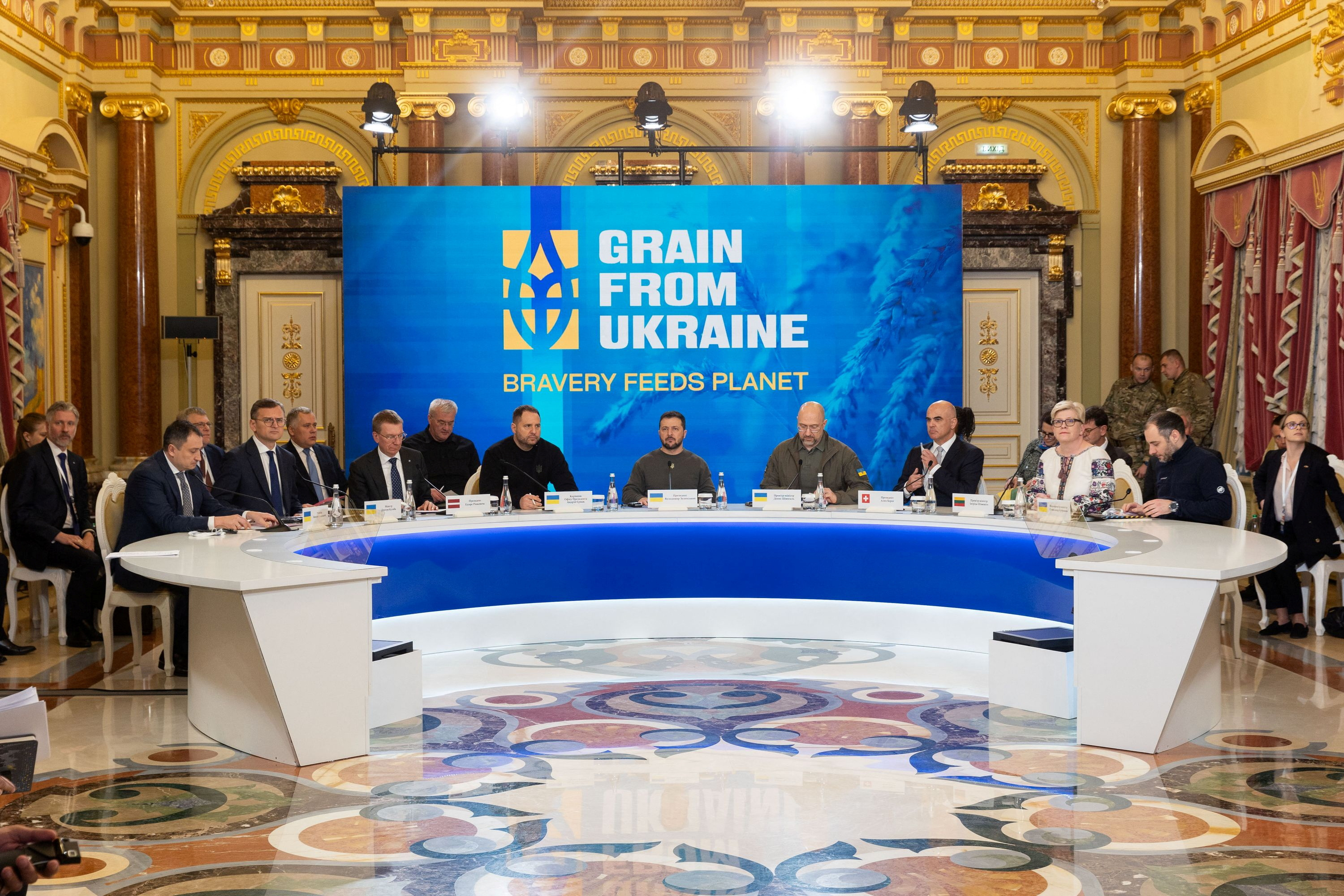 Grain from Ukraine summit in Kyiv