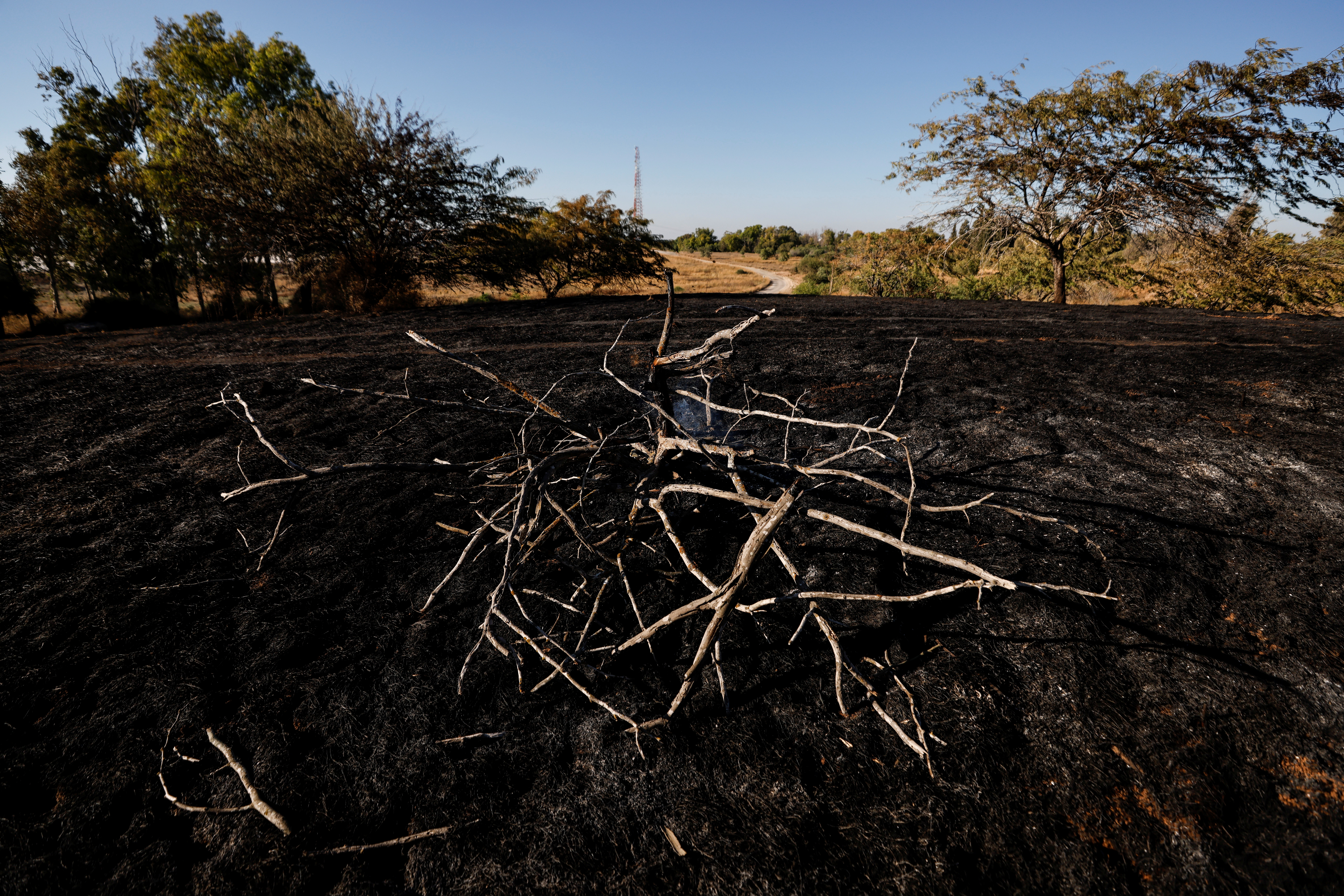 A burned field is seen after Palestinians in Gaza sent incendiary balloons over the border between Gaza and Israel, Near Nir Am June 15,2021. REUTERS/Amir Cohen