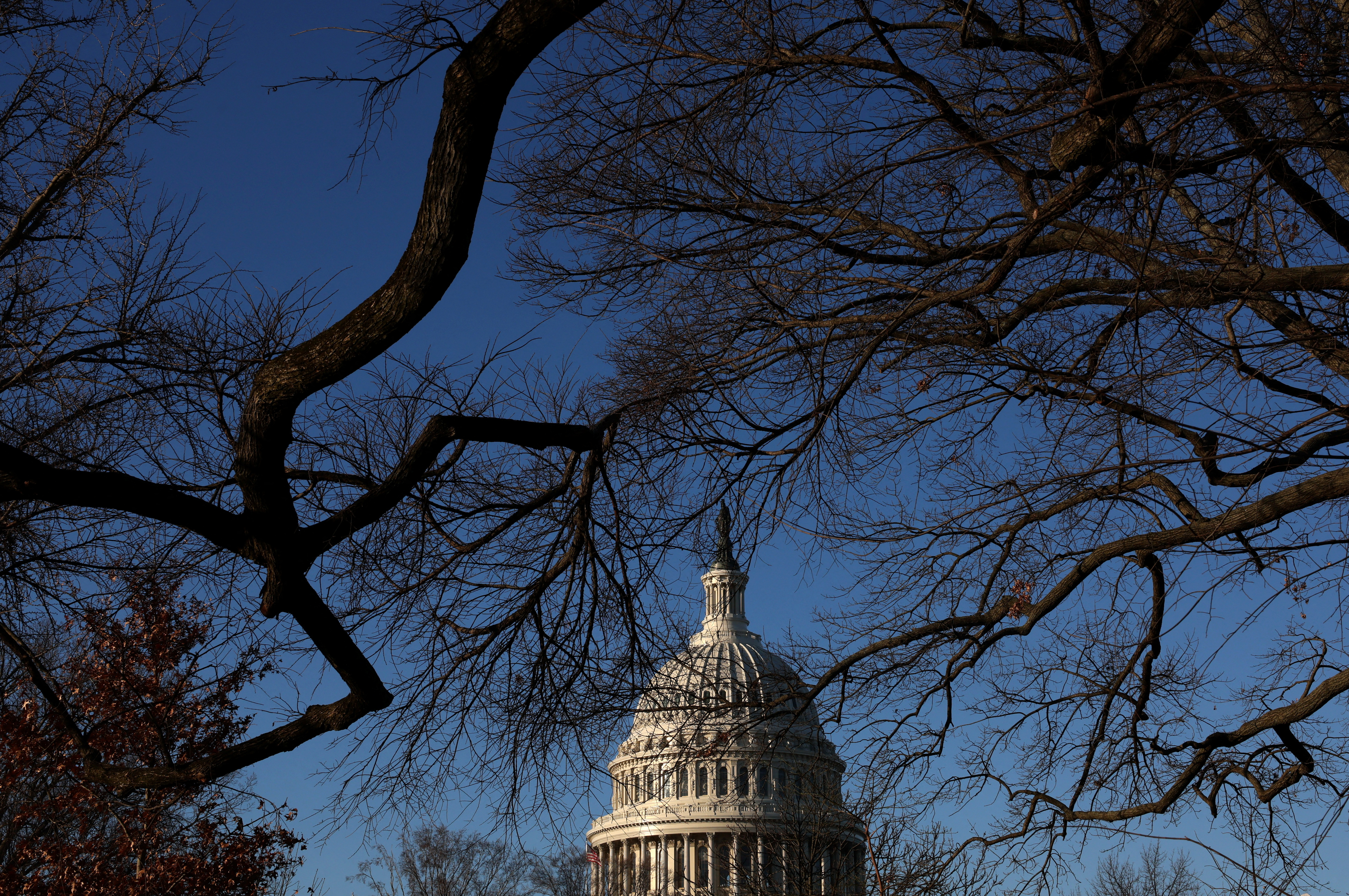 The U.S. Congress in Washington