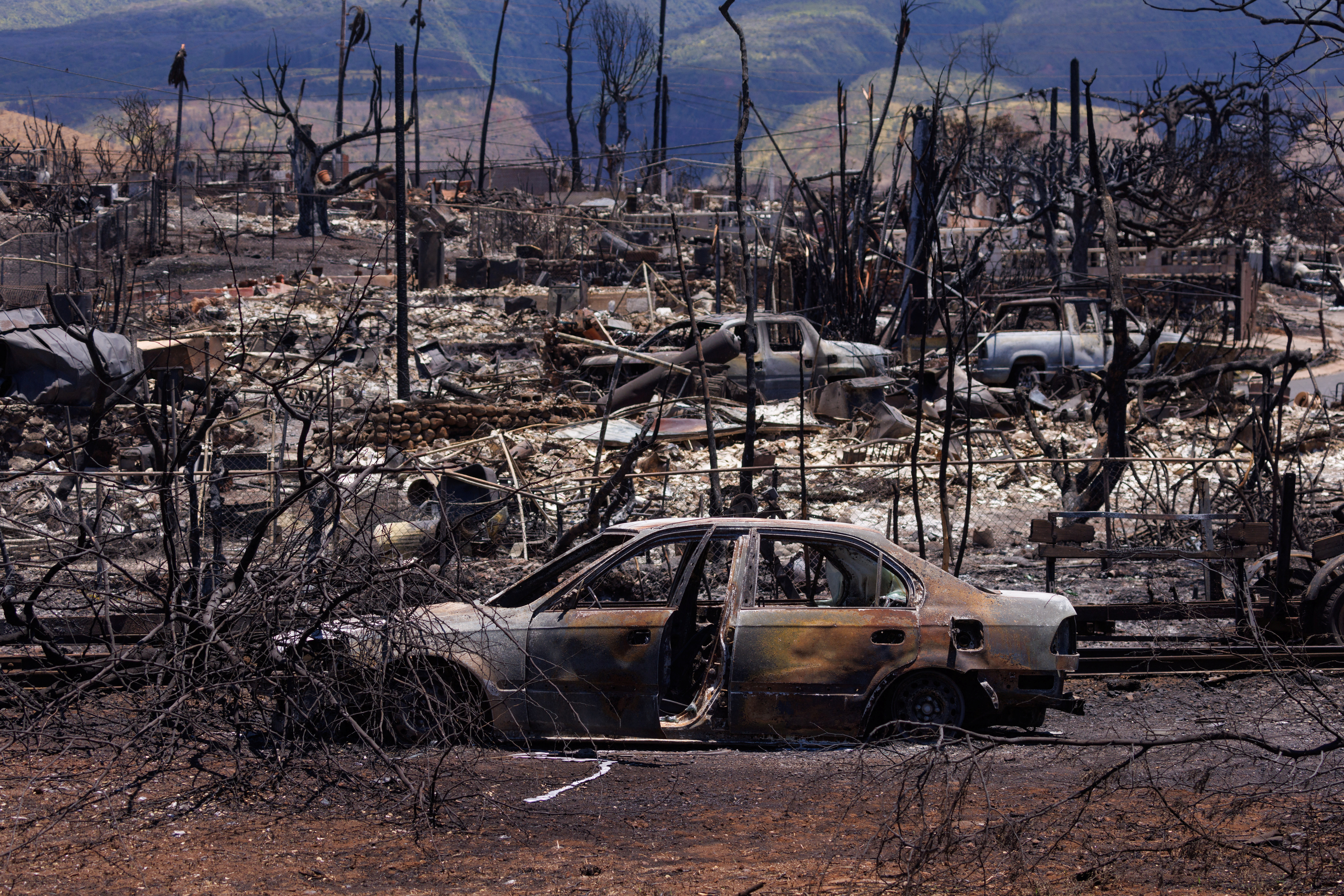 Lahaina in ruins as wildfire recovery drags on - August 16, 2023