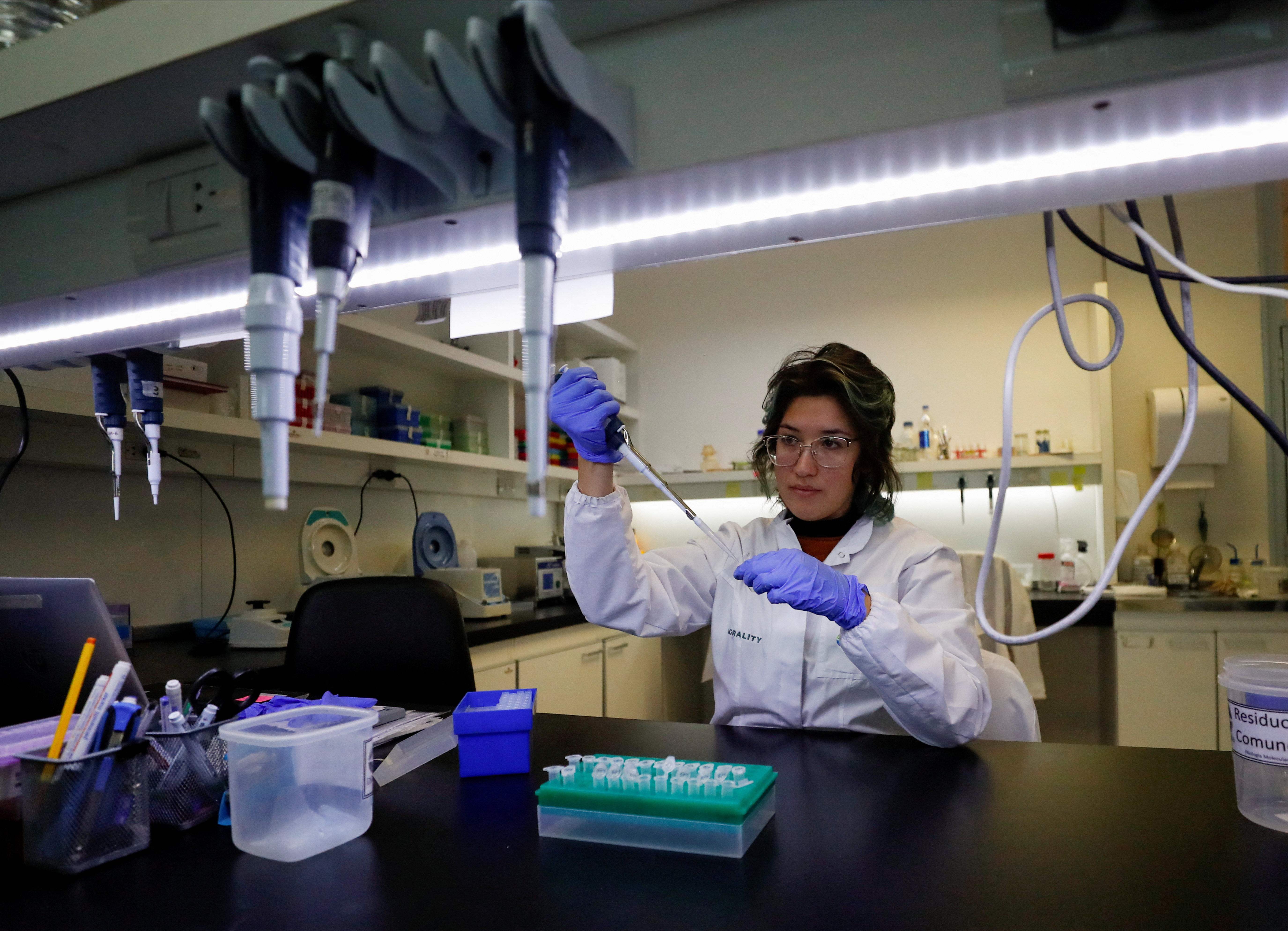 As war, drought hit global crops, Argentina gambles on GM wheat