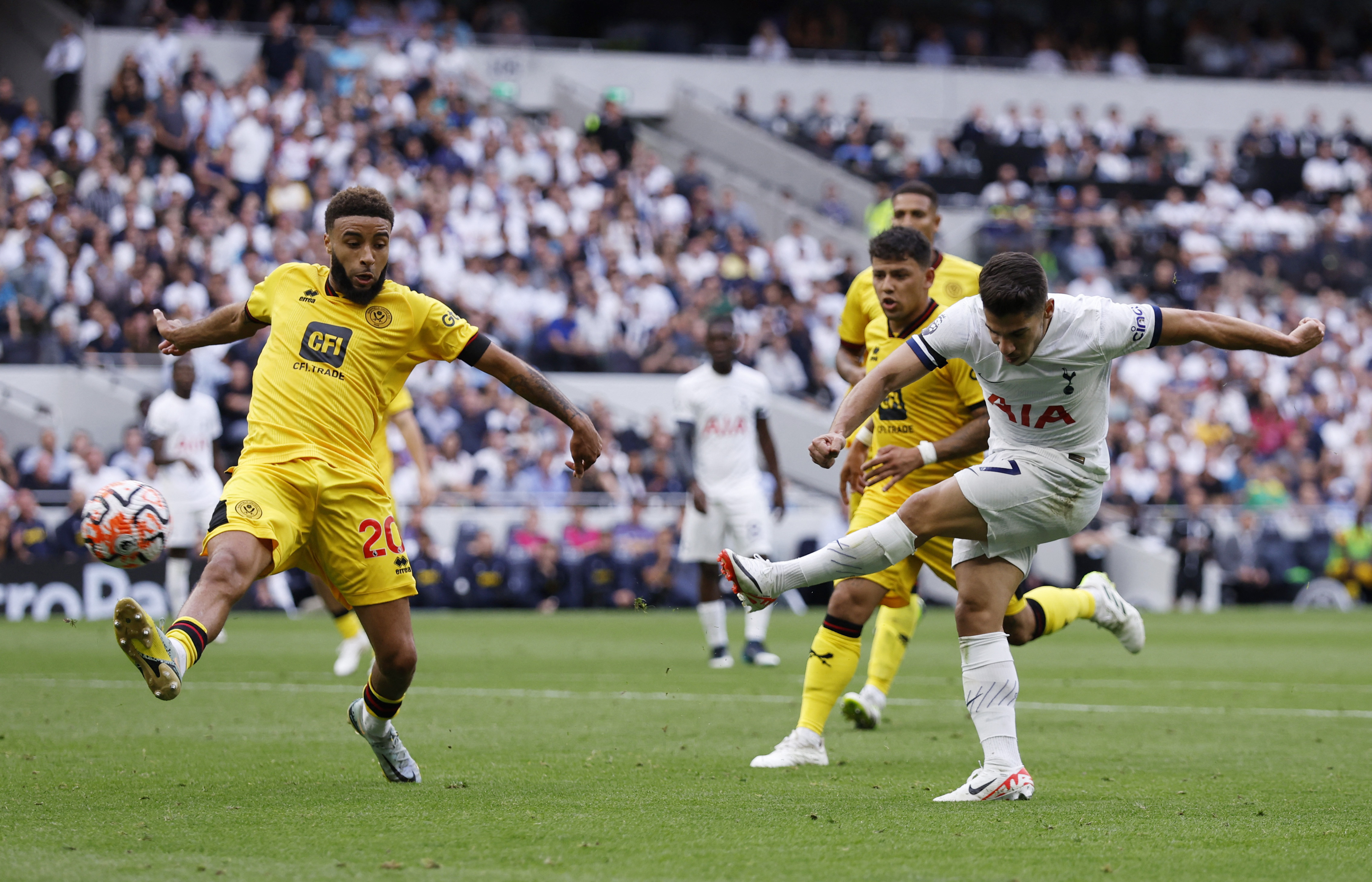 Tottenham Hotspur - Sheffield United placar ao vivo, H2H e