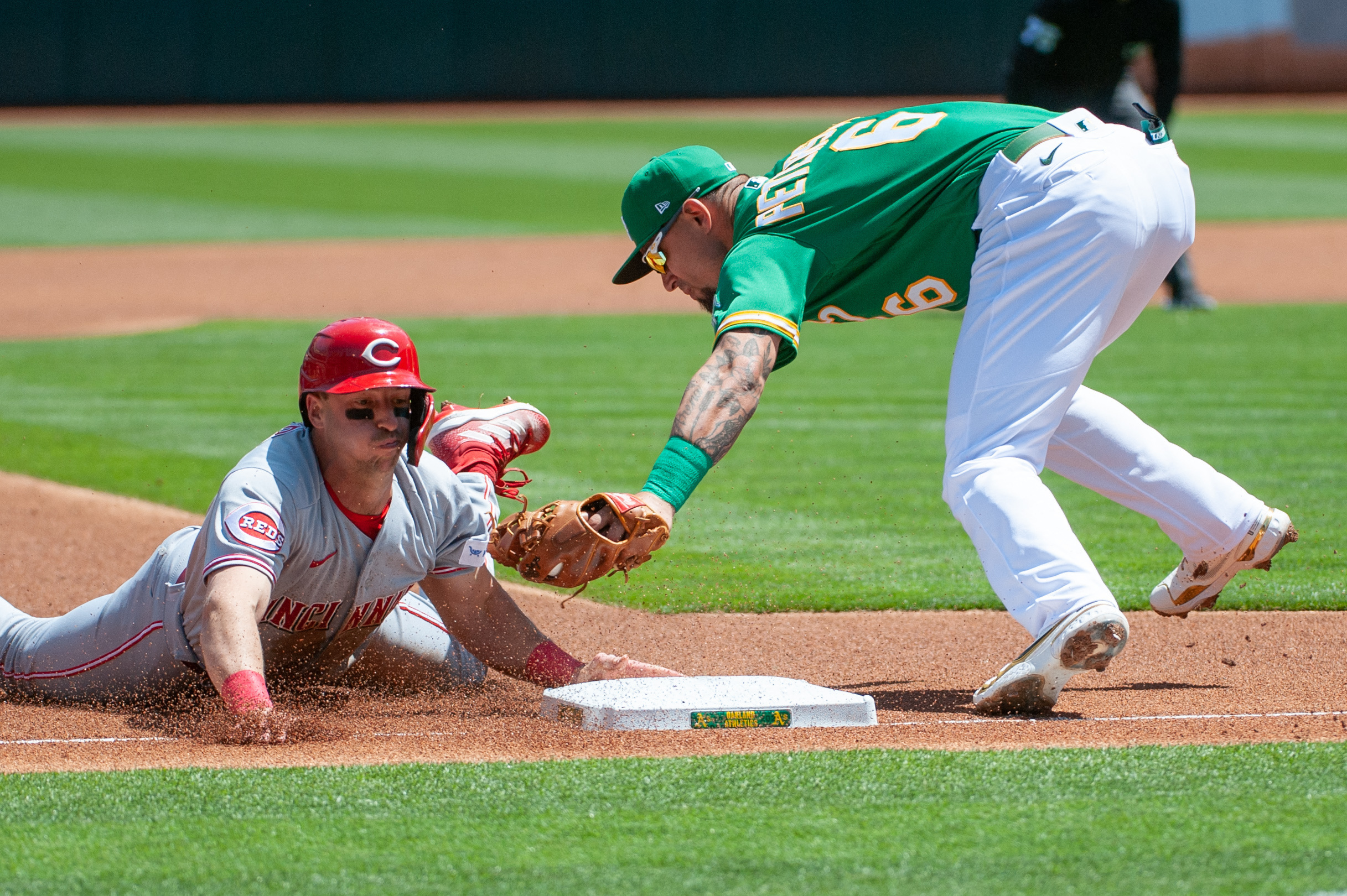 In photos: MLB: St. Louis Cardinals defeat Oakland Athletics - All Photos 