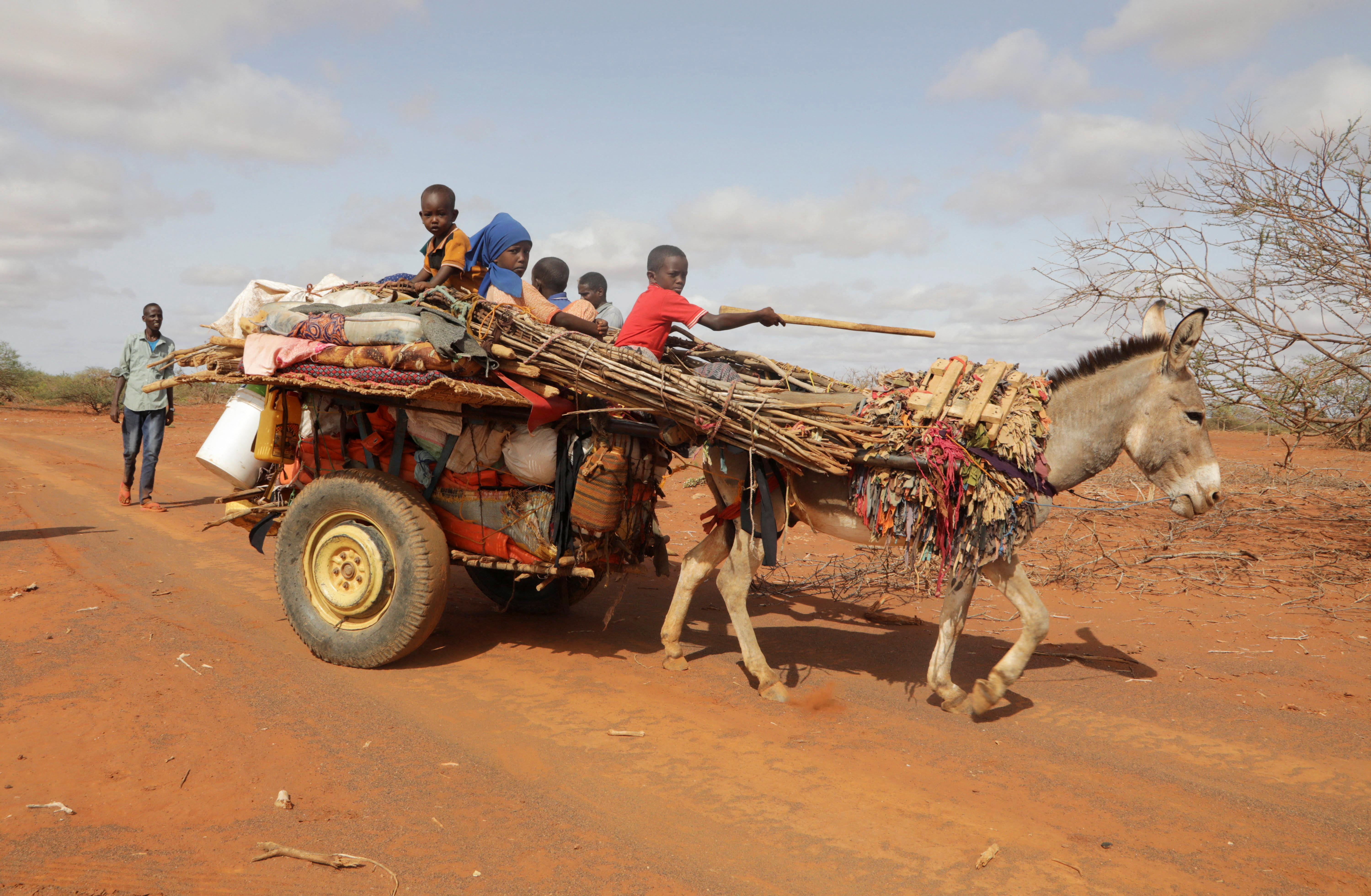 Internally displaced Somali children ride on a donkey cart, as they flee from the severe droughts near Dollow