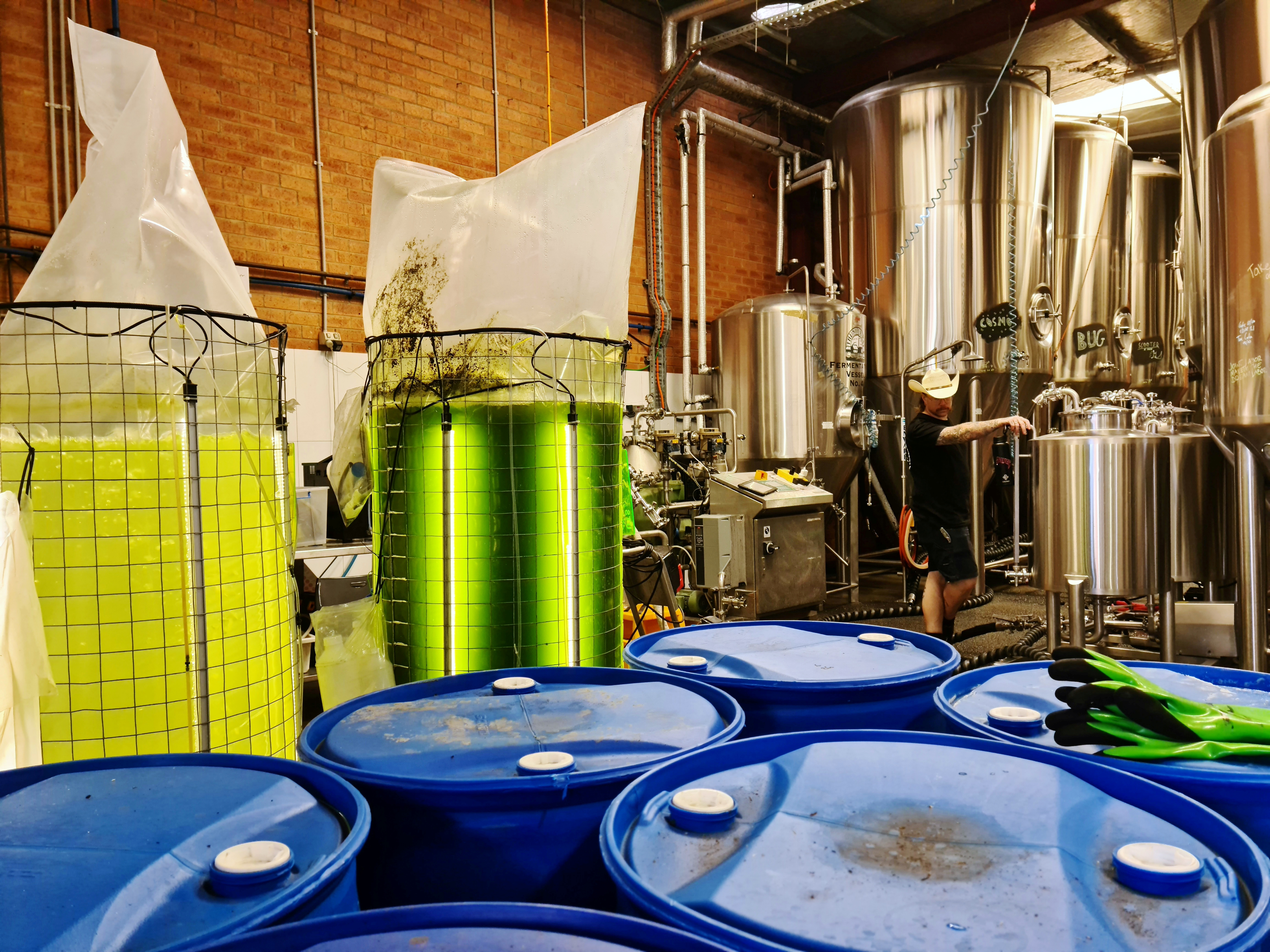 Beer brewer looks at how micro-algae can reduce methane emissions in Sydney