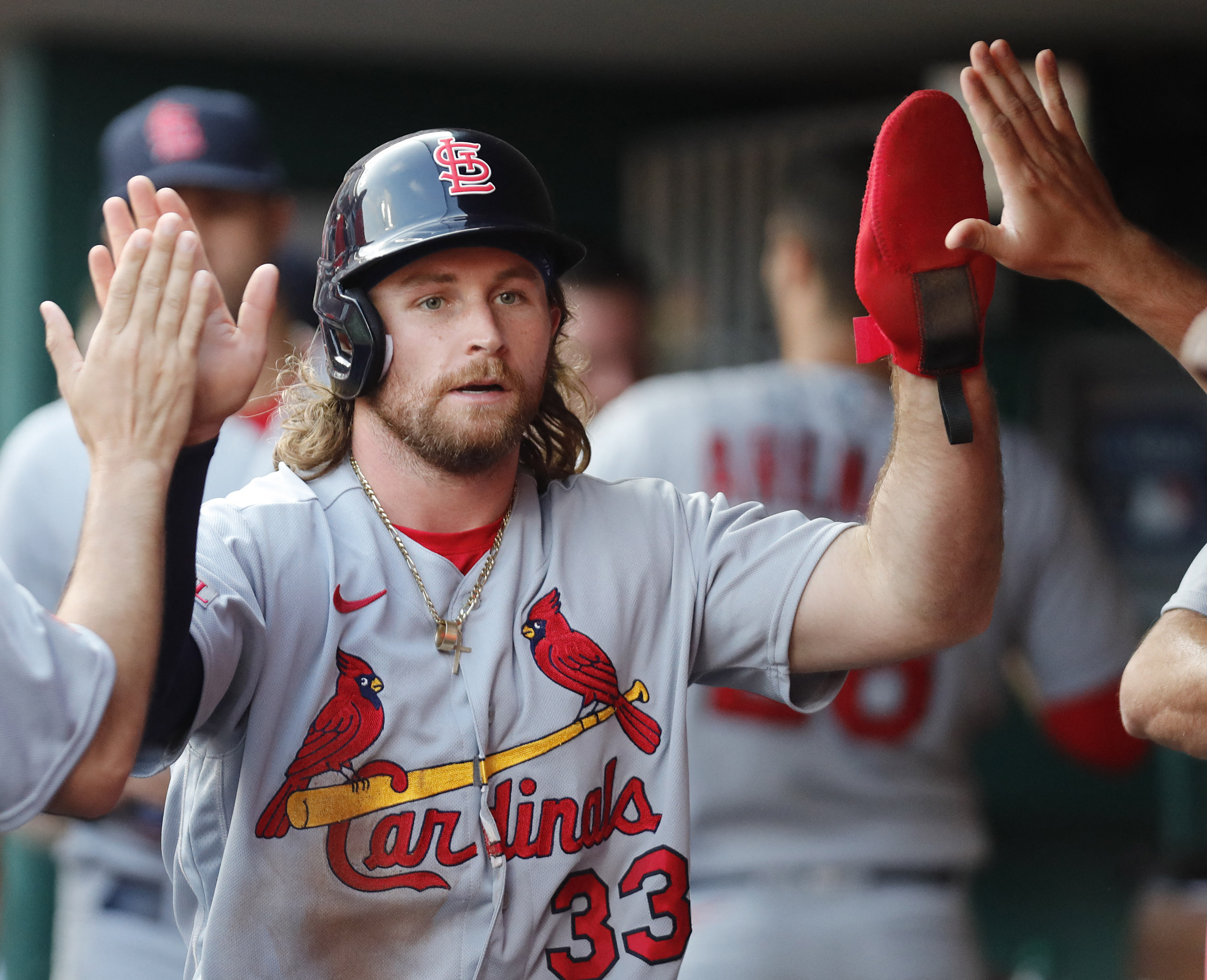 MLB: Cincinnati Reds at St. Louis Cardinals, Fieldlevel