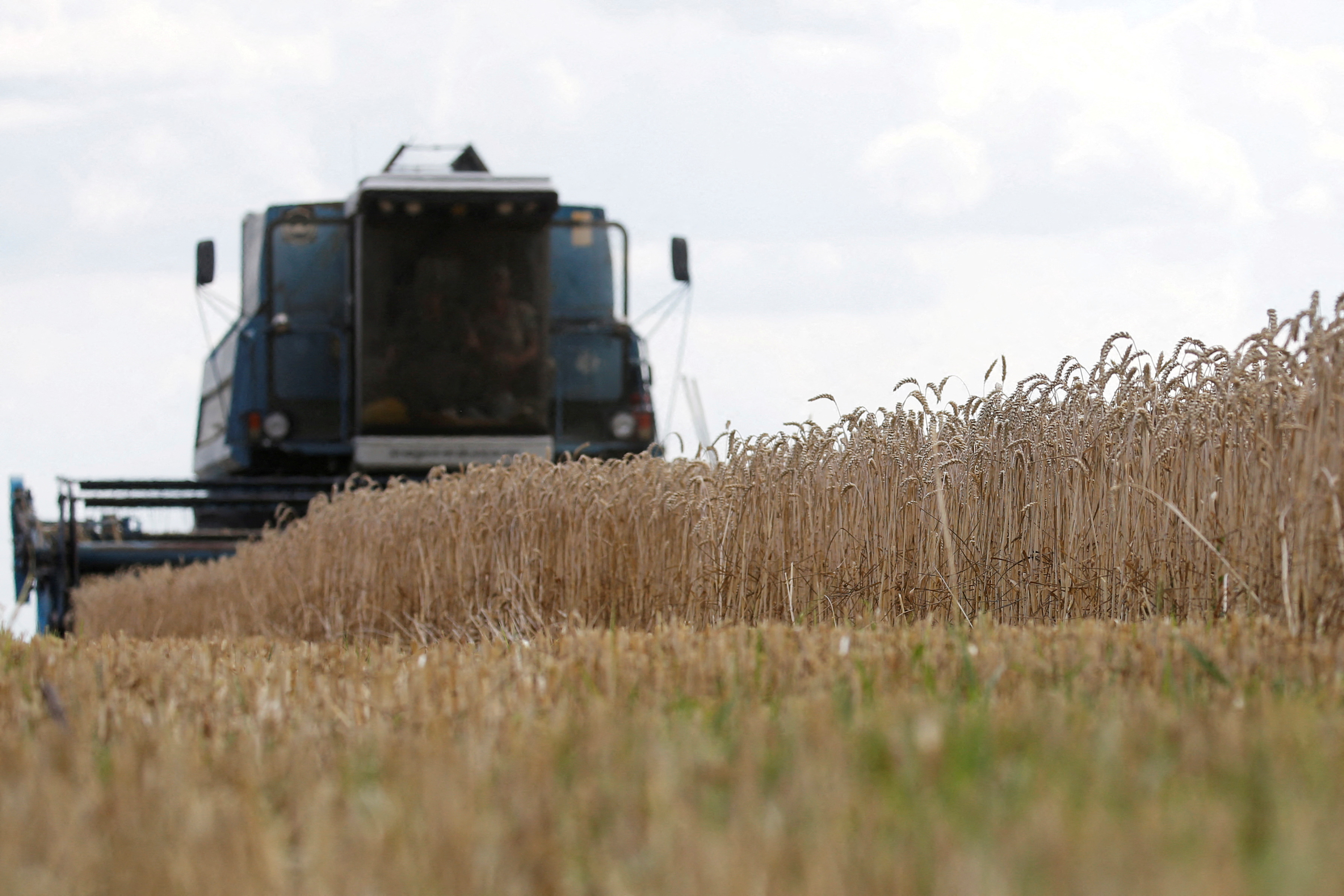 Concerns rise over Black Sea spring crops amid Russia-Ukraine war | Reuters