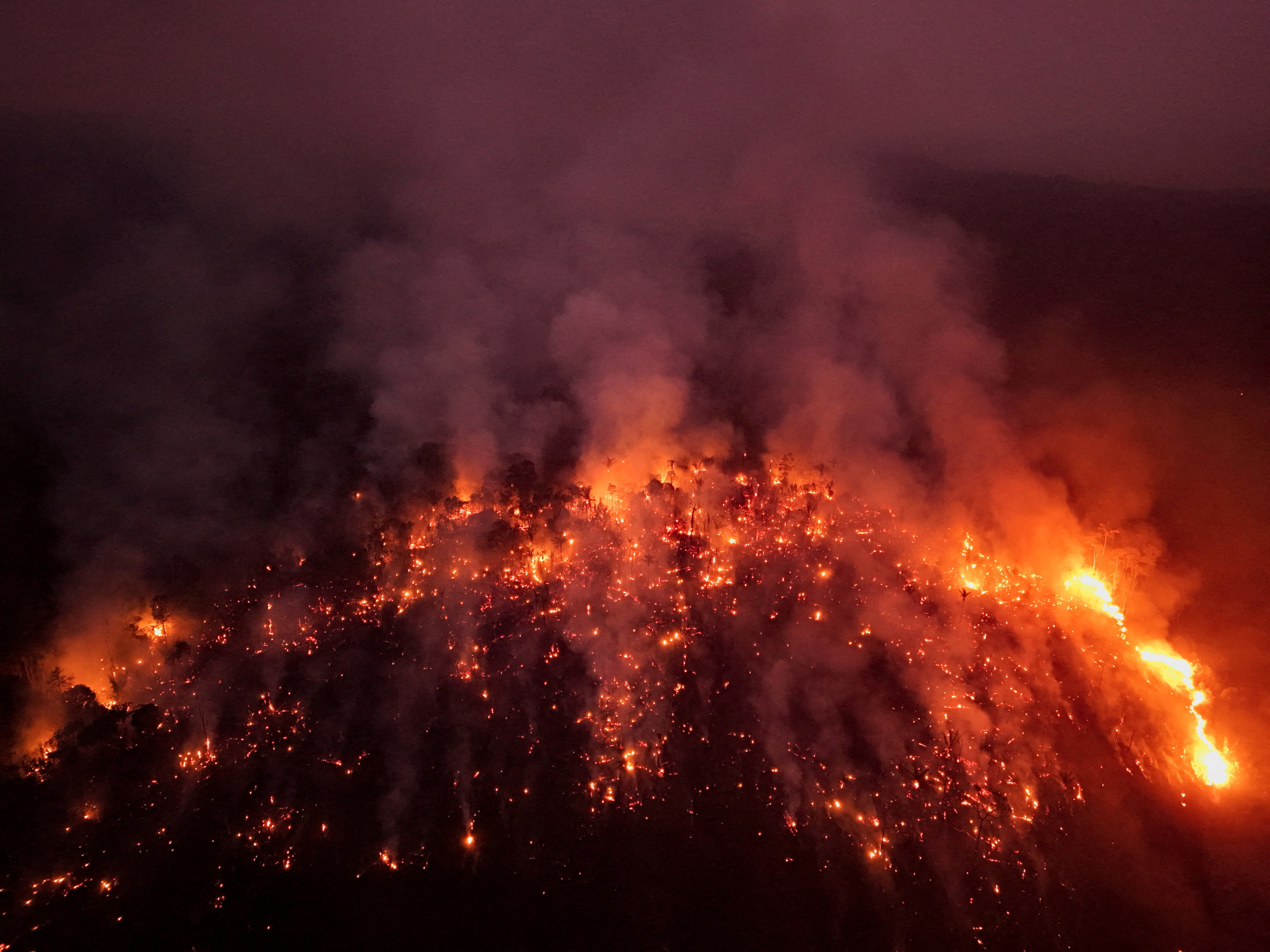 Forest fires in the Amazon