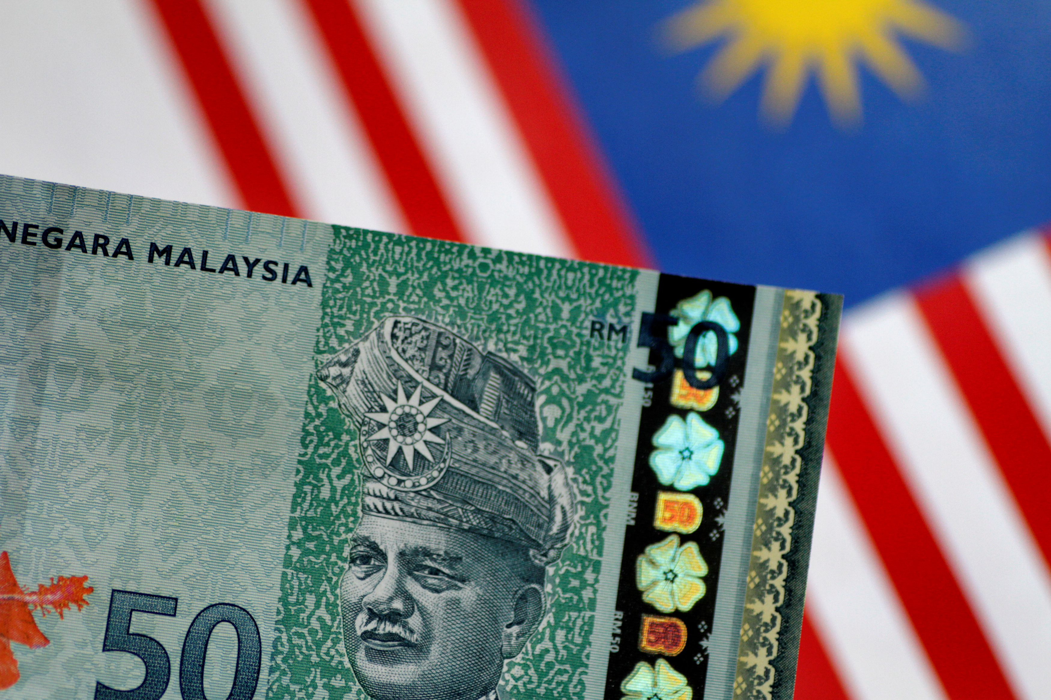 Пакистан малайзия. Малайзийский ринггит. Malaysian ringgit Flag. Singapore Dollar Flag. Валюта Сингапура и Суринама.