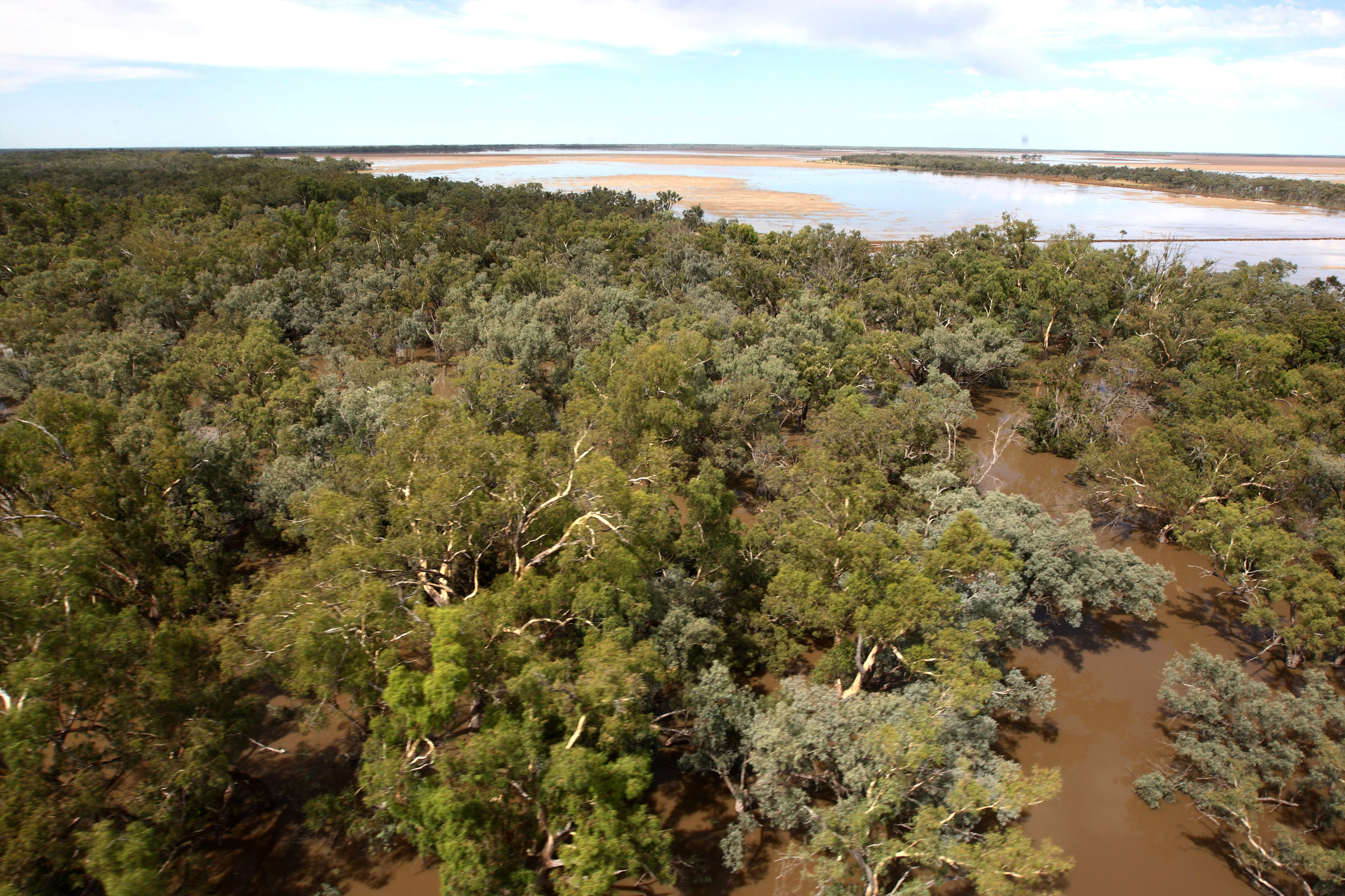 An aerial view of flooded land near the border with Queensland, and north of the town of Goodooga, New South Wales