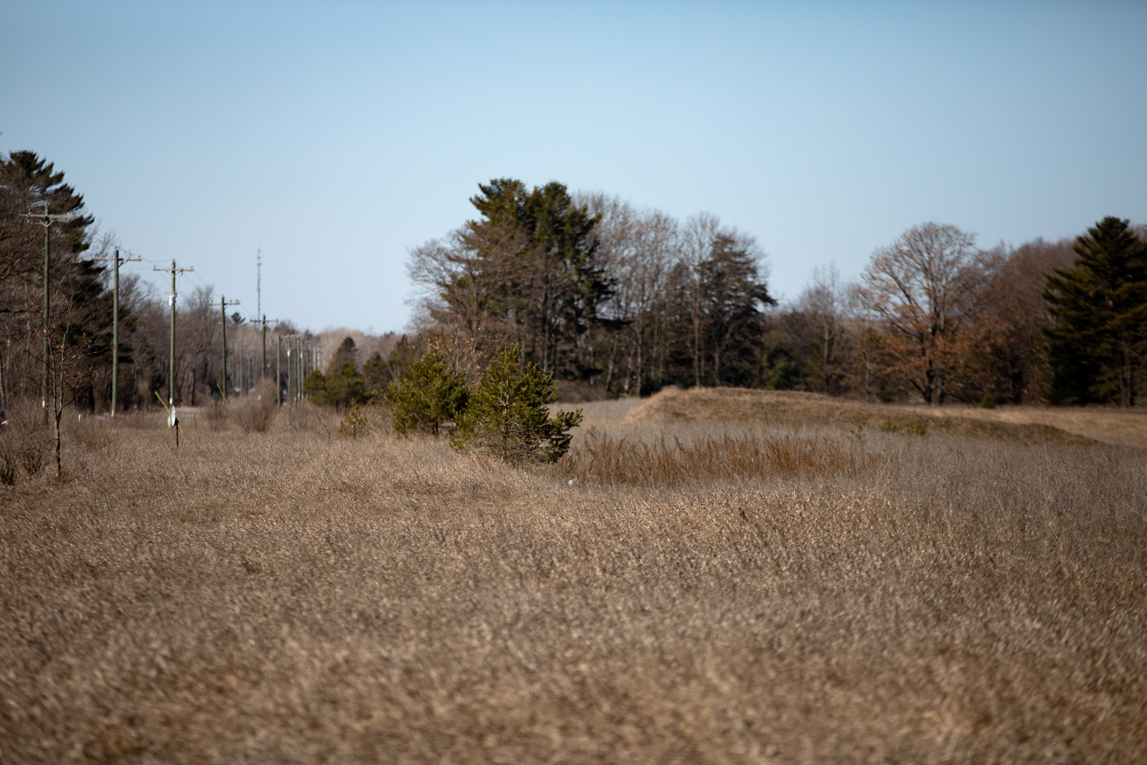 A piece of land that has a federal drilling lease issued for oil and gas development is seen in Mecosta County, Michigan, U.S., March 20, 2021. Picture taken March 20, 2021.  REUTERS/Emily Elconin