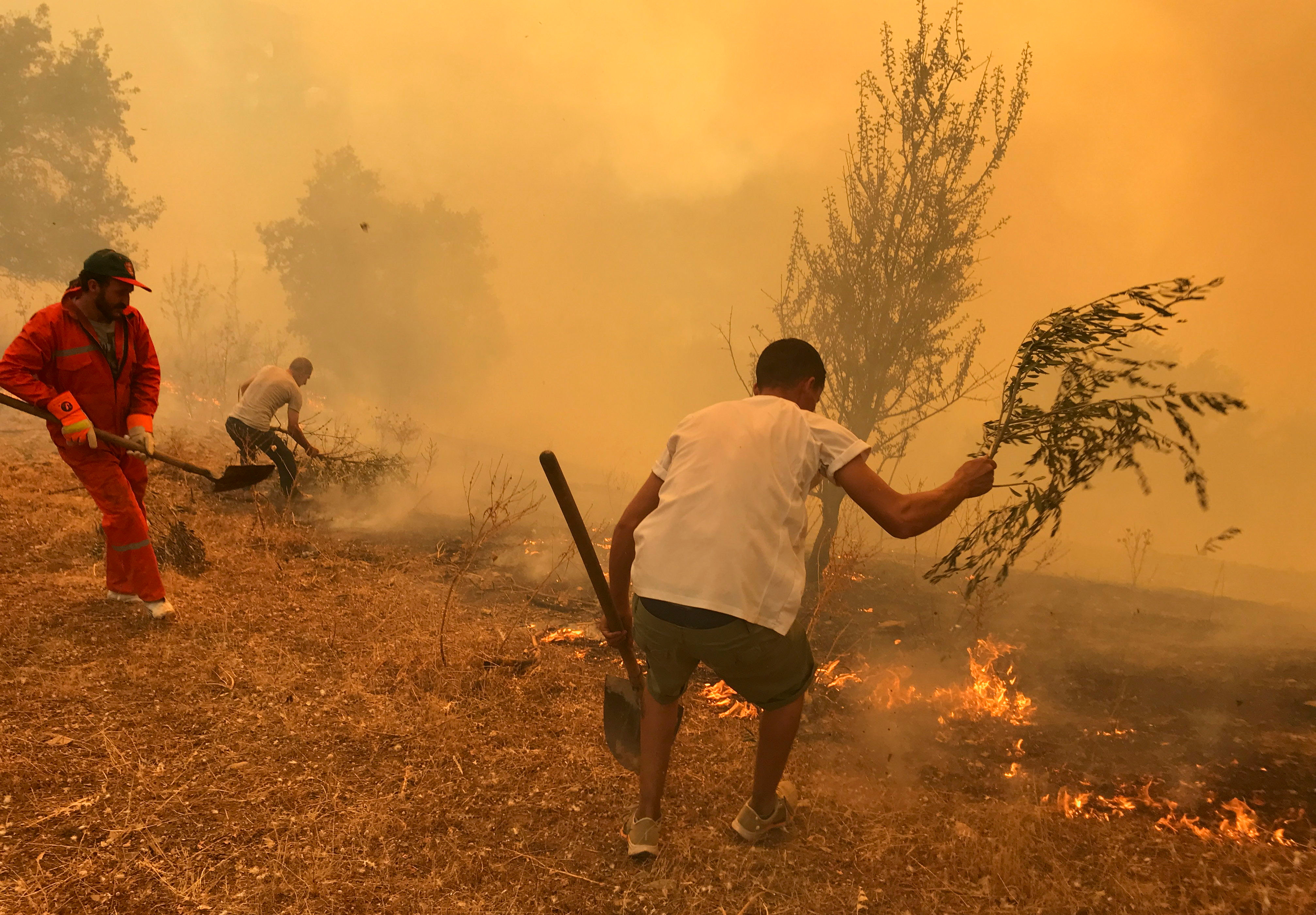 Algeria Leader Calls Wildfires Disaster Says 22 Arsonists Arrested Reuters Algeria Leader Calls Wildfires Disaster Says 22 Arsonists Arrested Reuters