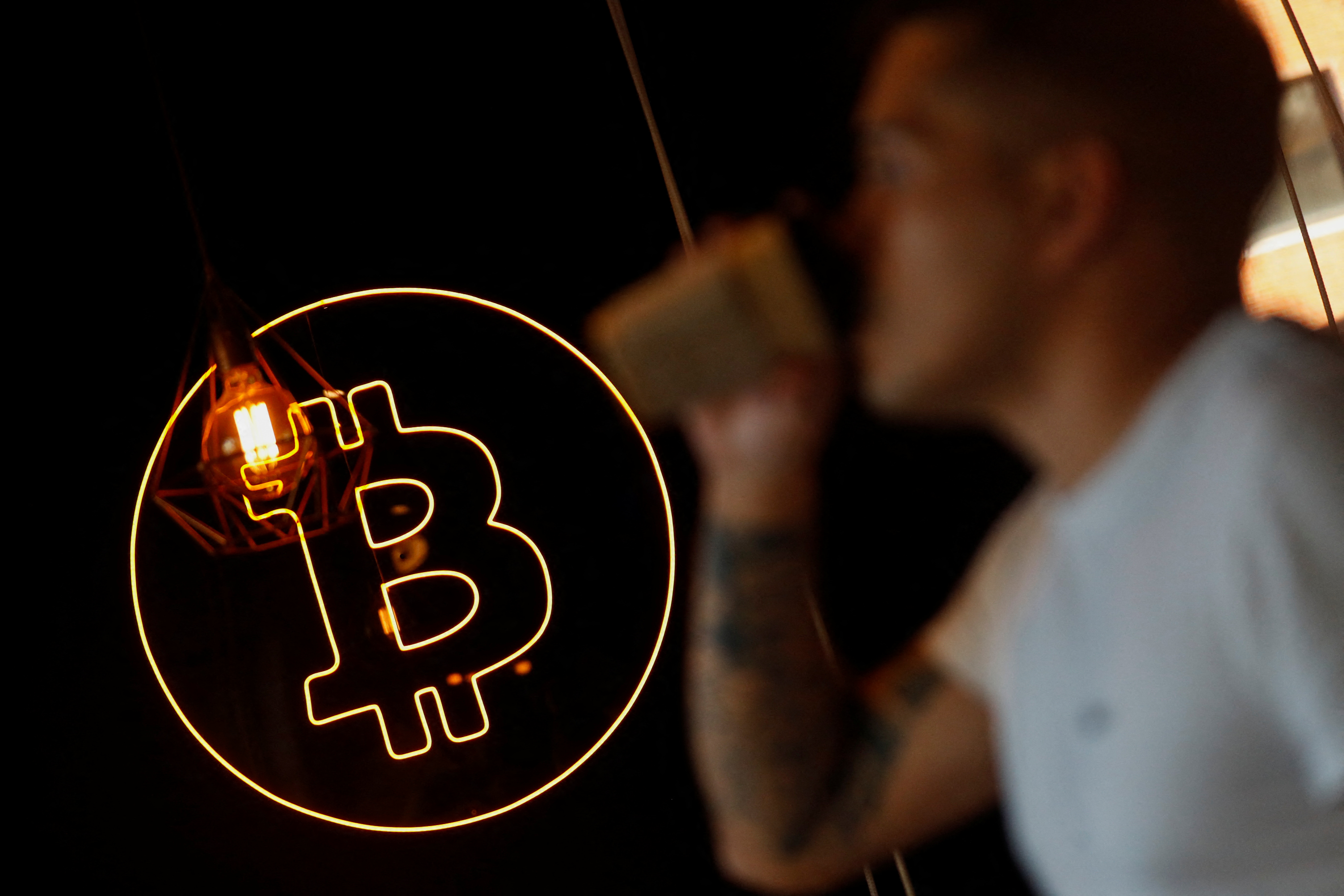 Bitcoin lures inflation-weary investors despite crypto crash