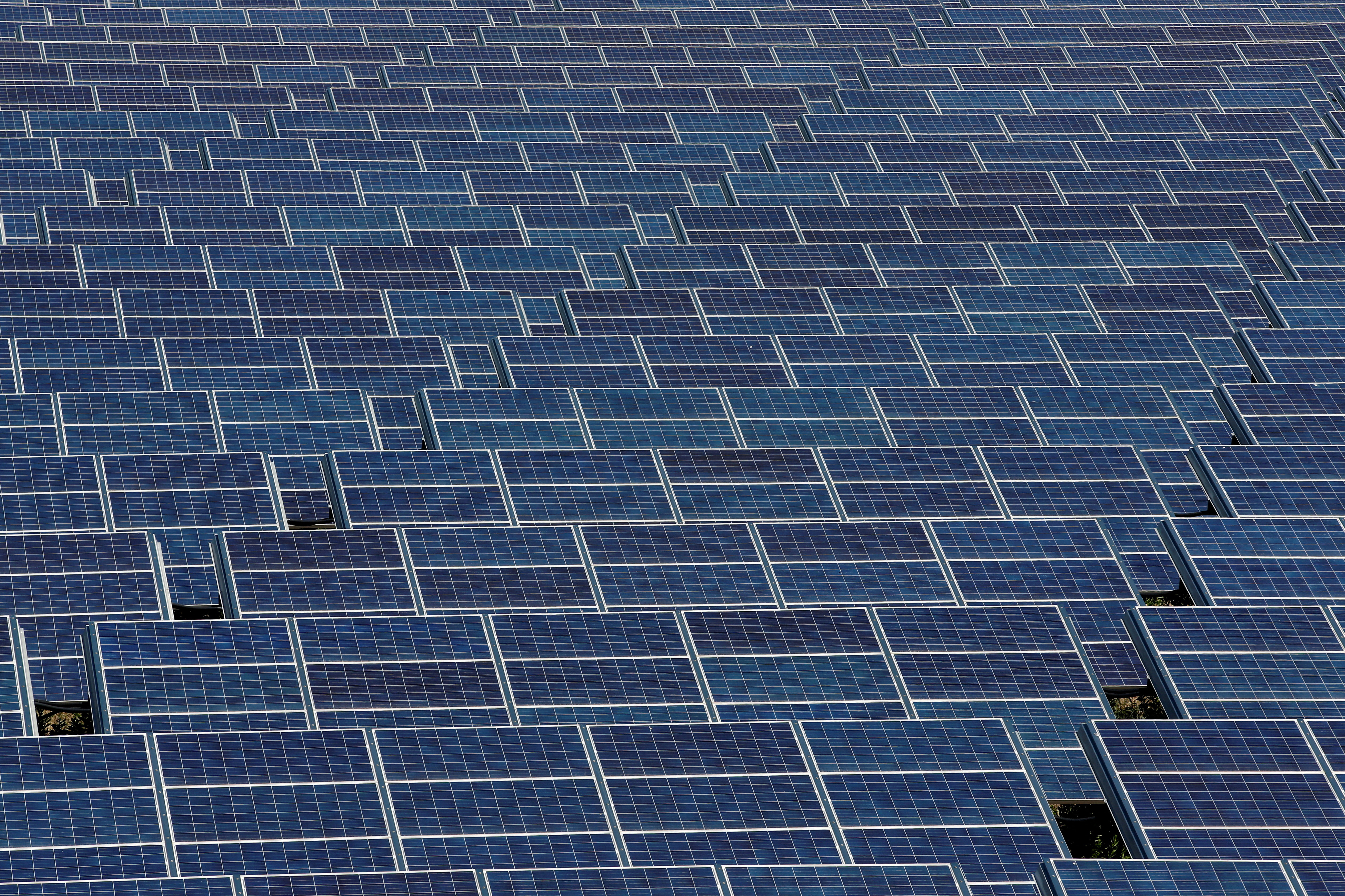 Solar panels to produce renewable energy are seen at the Urbasolar photovoltaic park in Gardanne