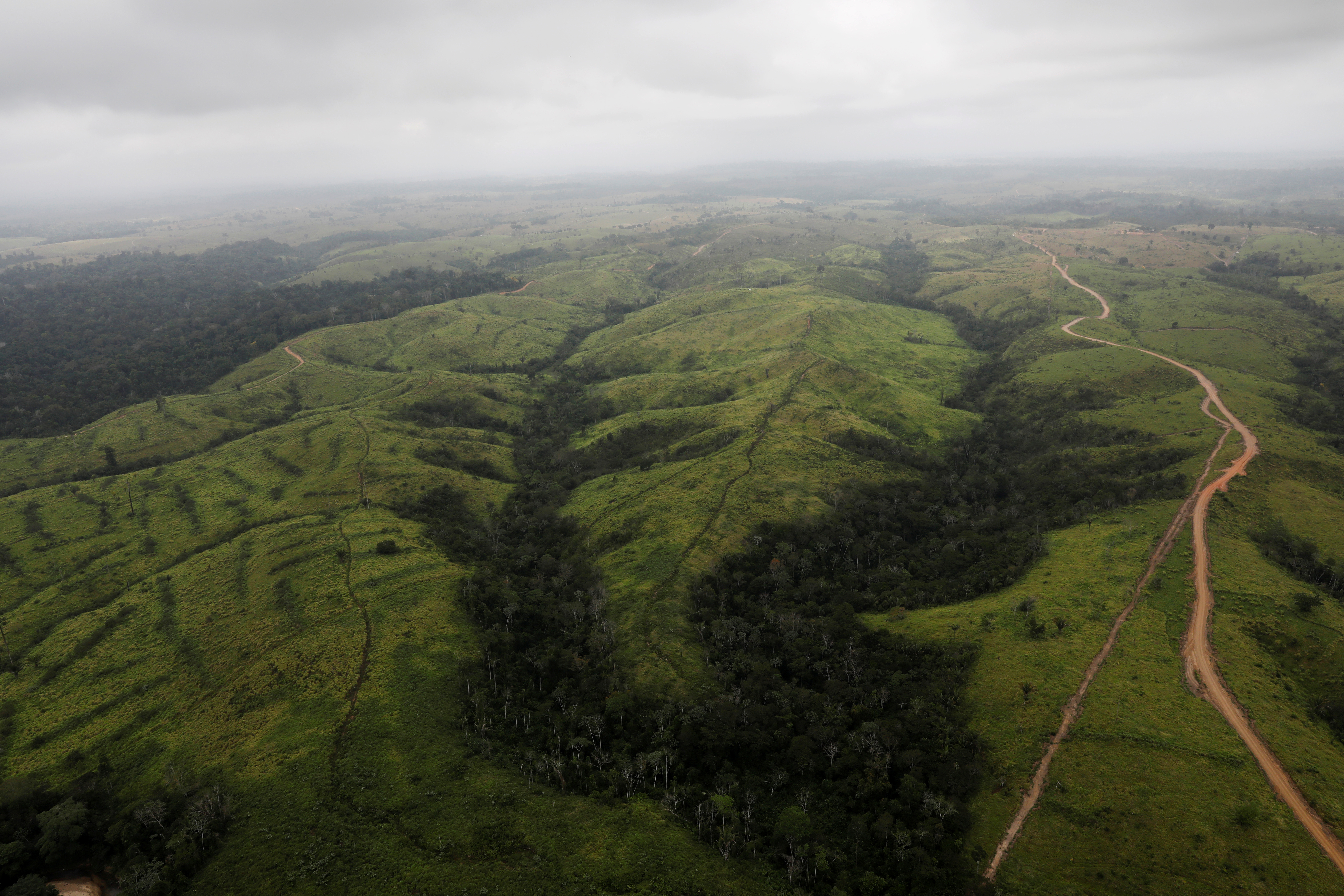 An aerial view shows a deforested area in the Amazon rainforest, near the city of Altamira