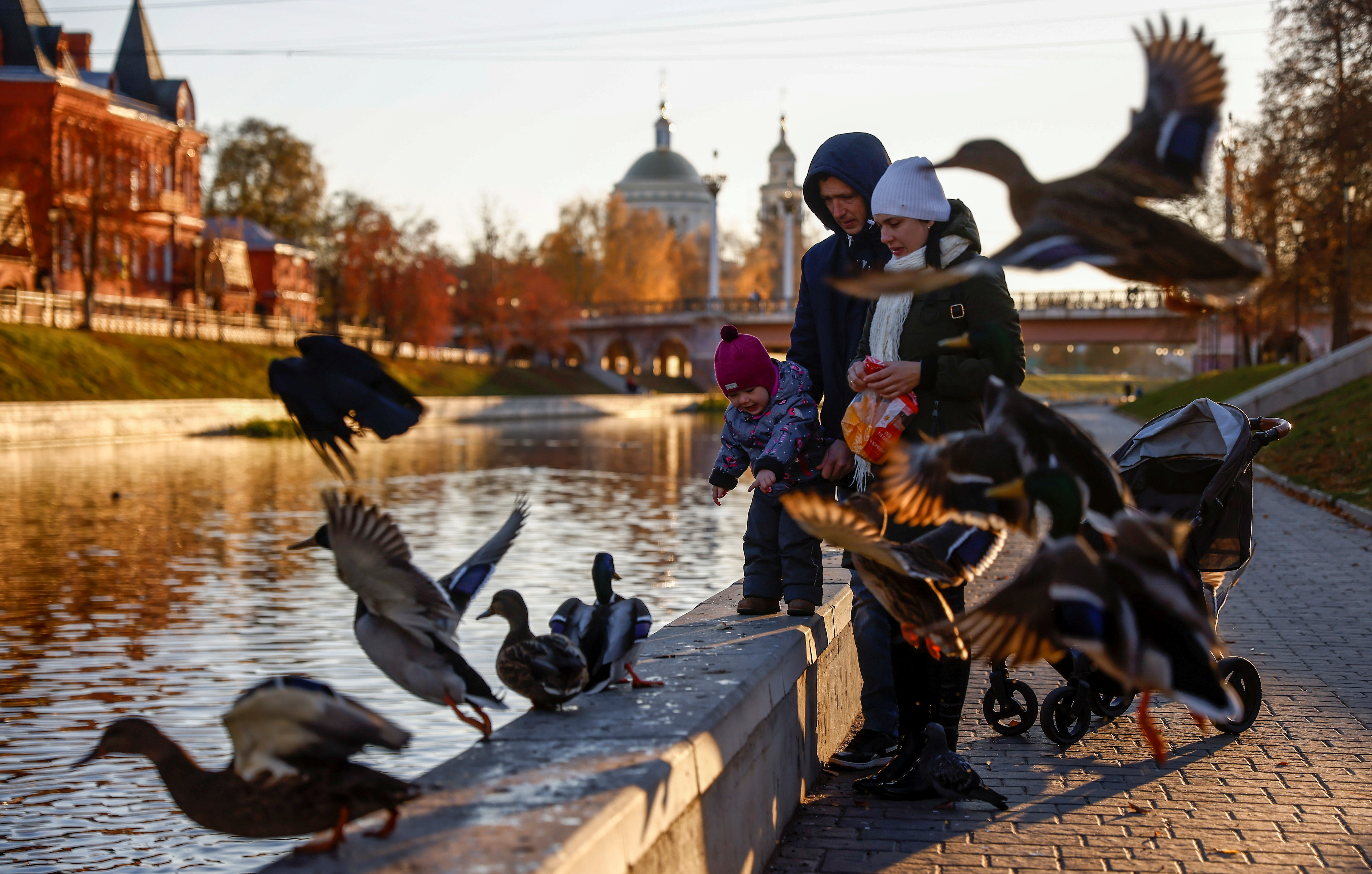 People feed ducks in Oryol