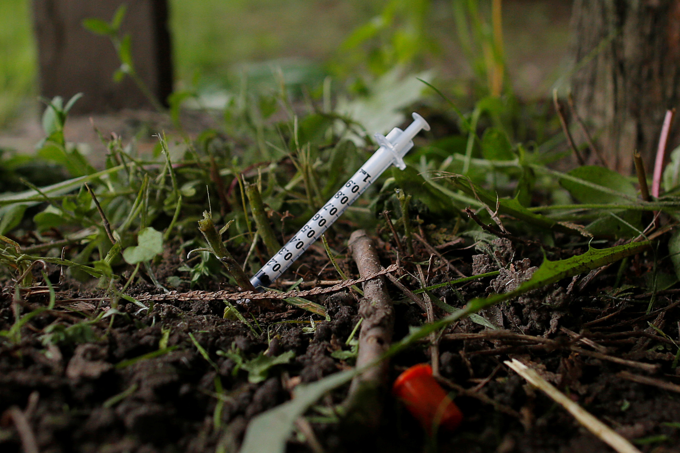 A used needle sits on the ground in a park in Lawrence