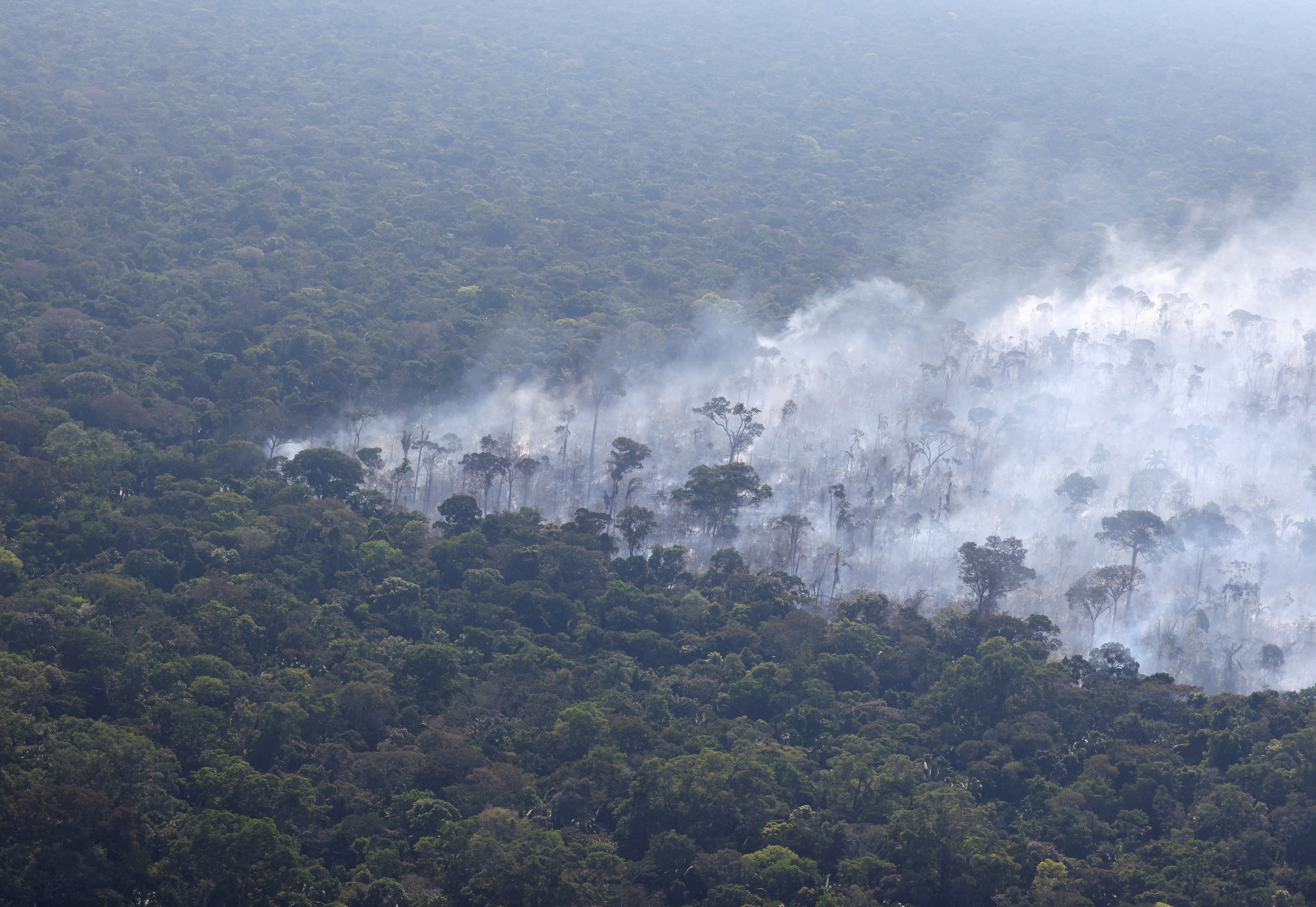 Brazil approves $65 million from  Fund to police the rainforest