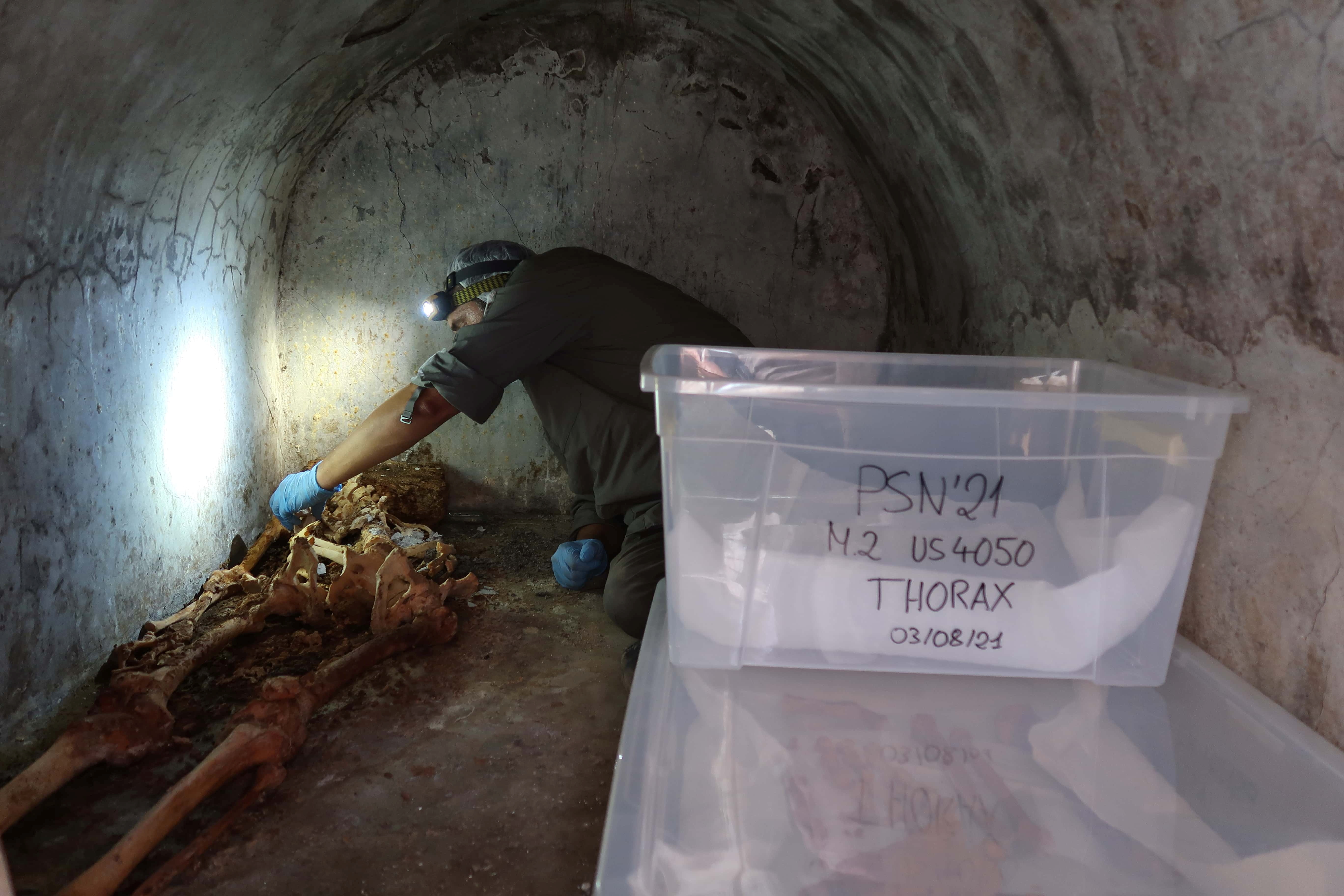 Well-preserved skeleton sheds light on culture in ancient Pompeii