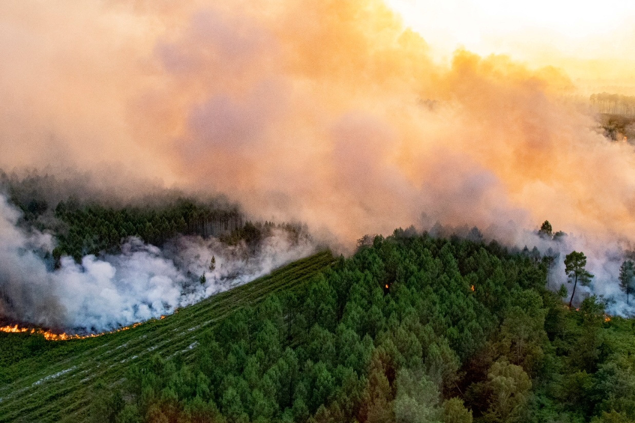 The era of 'mega forest fires' has begun in Spain. Is climate change to  blame?