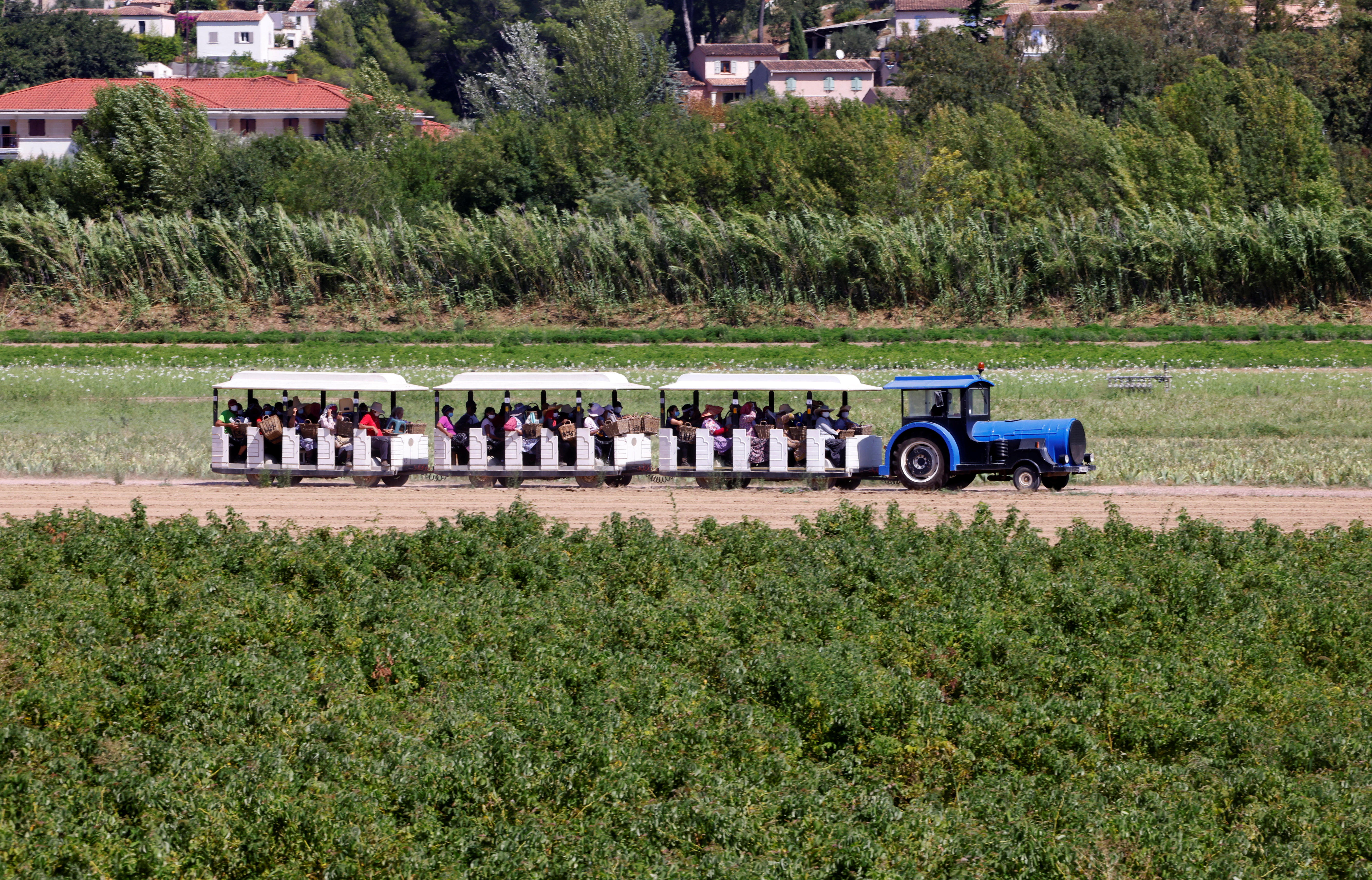 Why Lancôme and Chanel are buying up flower fields in Grasse