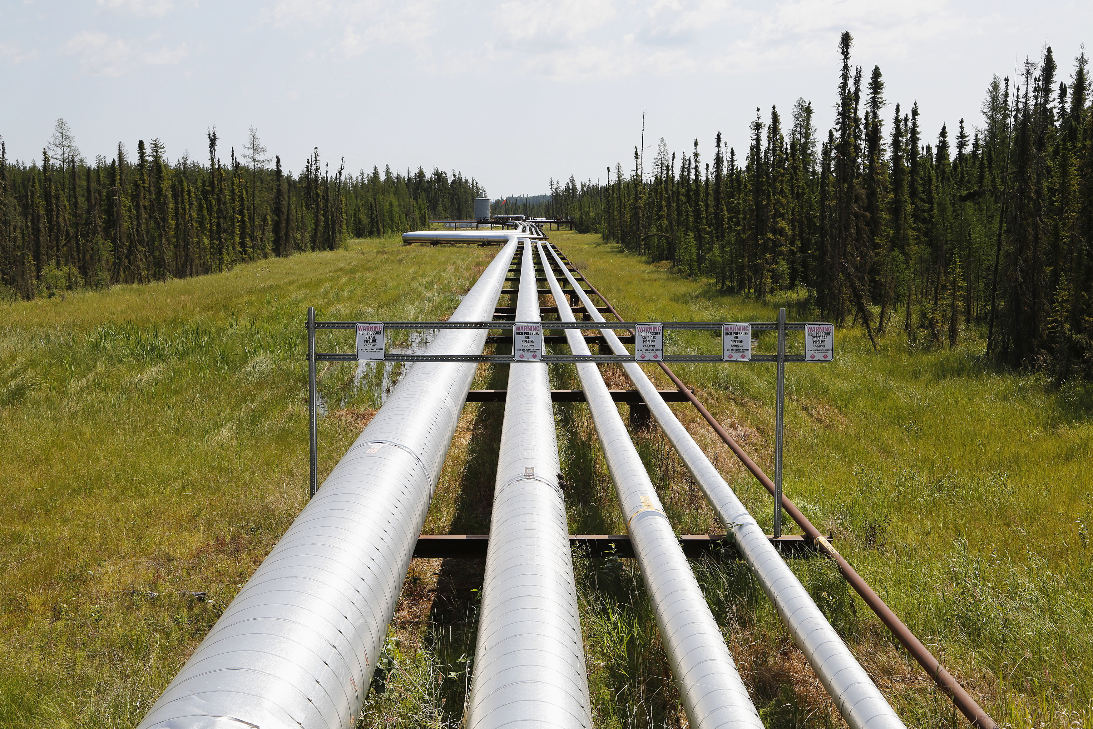 Oil, steam and natural gas pipelines run through the forest at the Cenovus Foster Creek SAGD oil sands operations near Cold Lake.